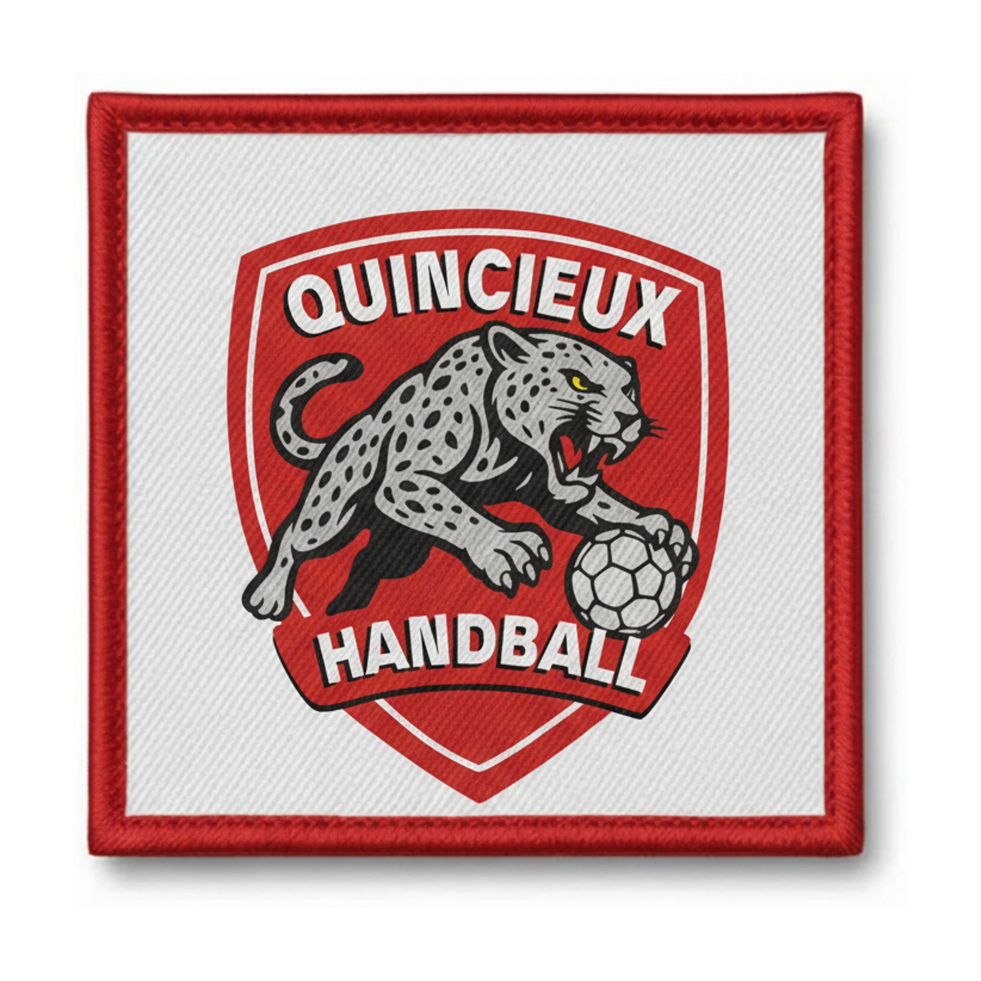 Quincieux MJC - Patch seul