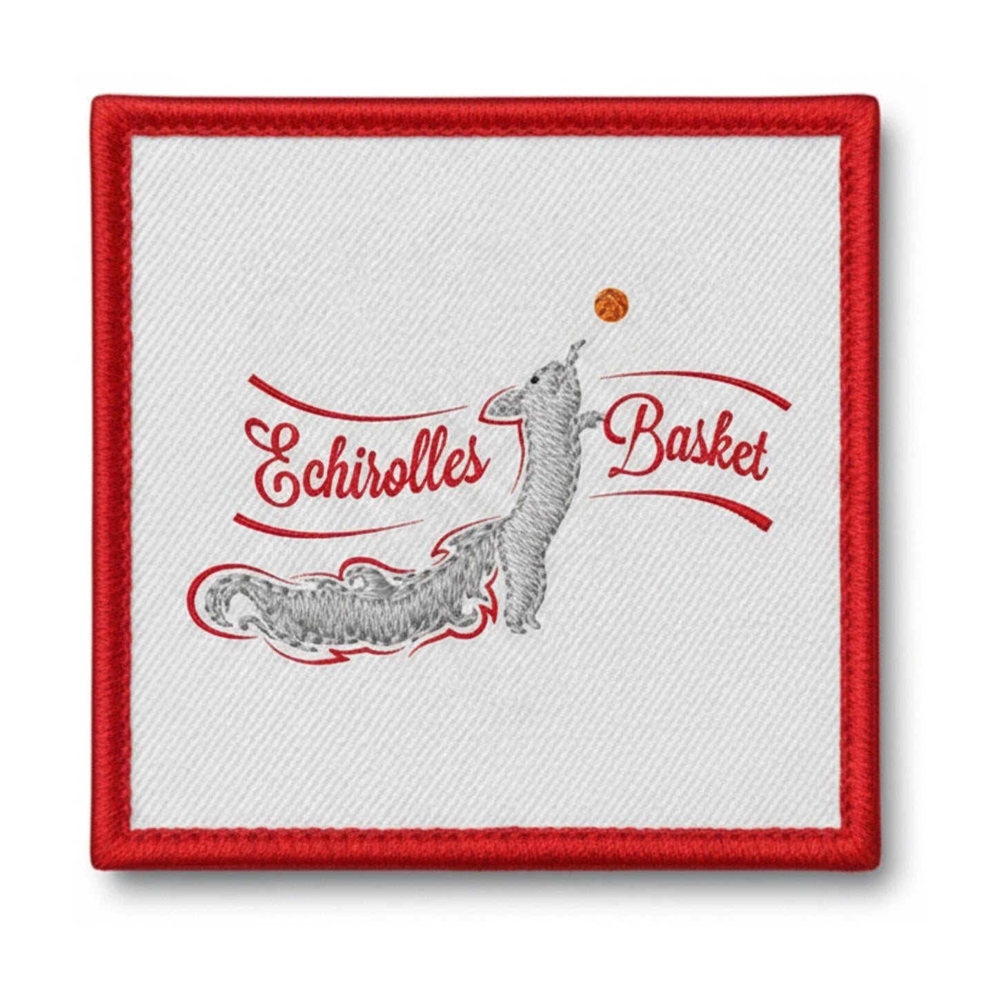 Amicale Laique Echirolles - Patch seul