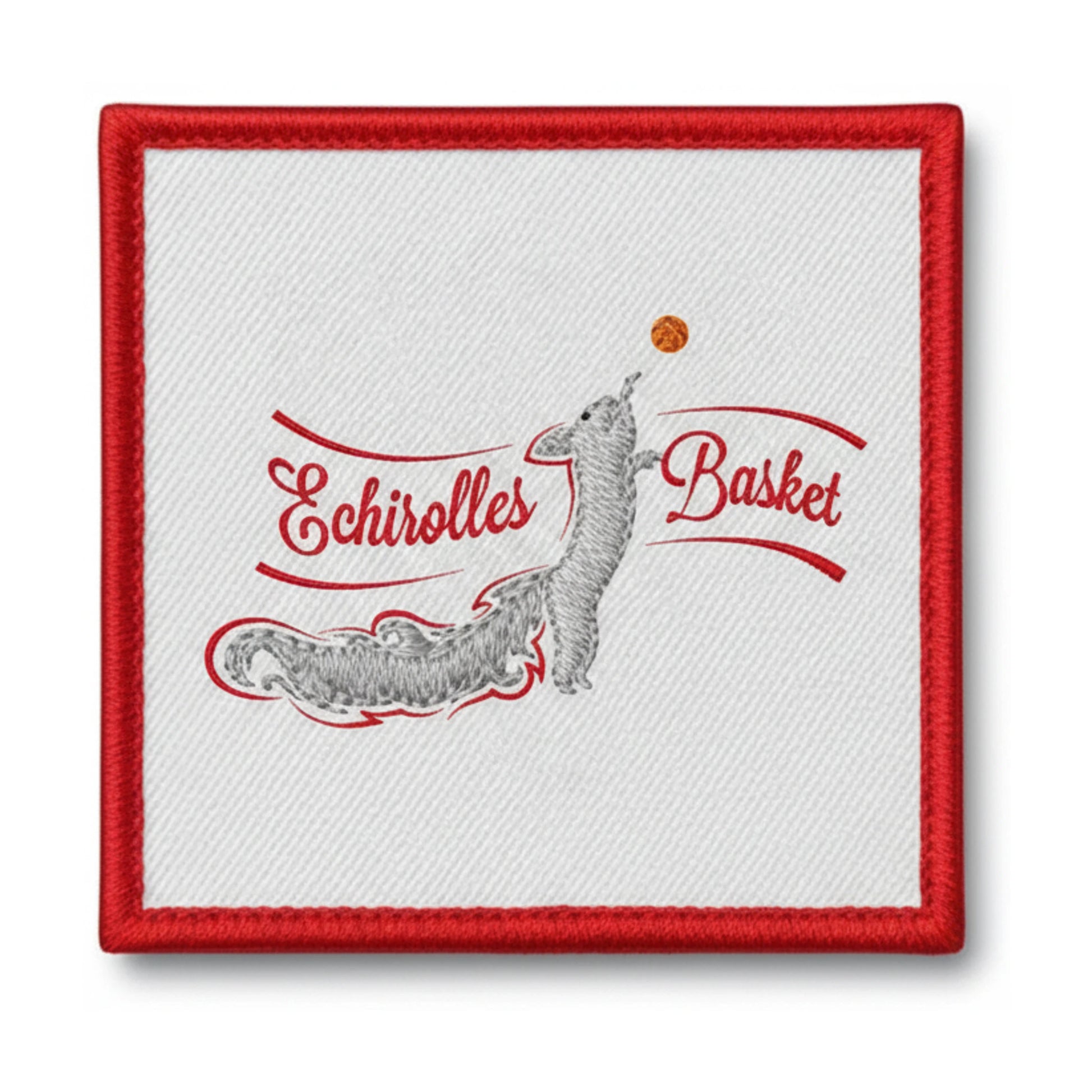 Amicale Laique Echirolles - Patch seul