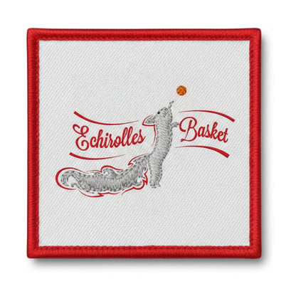 Amicale Laique Echirolles - Patch seul