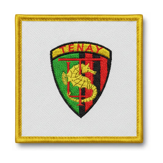 Patch brodé U.S. TENAYSIENNE Football logo