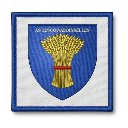 Patch brodé A. S. PISCOP MOISSELLES Football logo