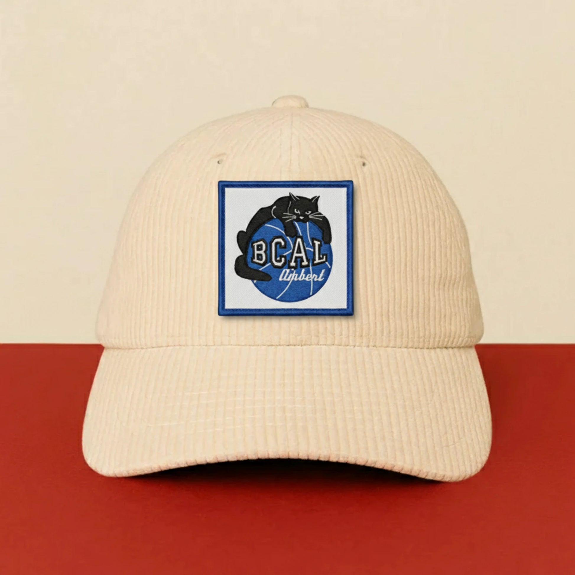 BC Ambert Livradois - Détail