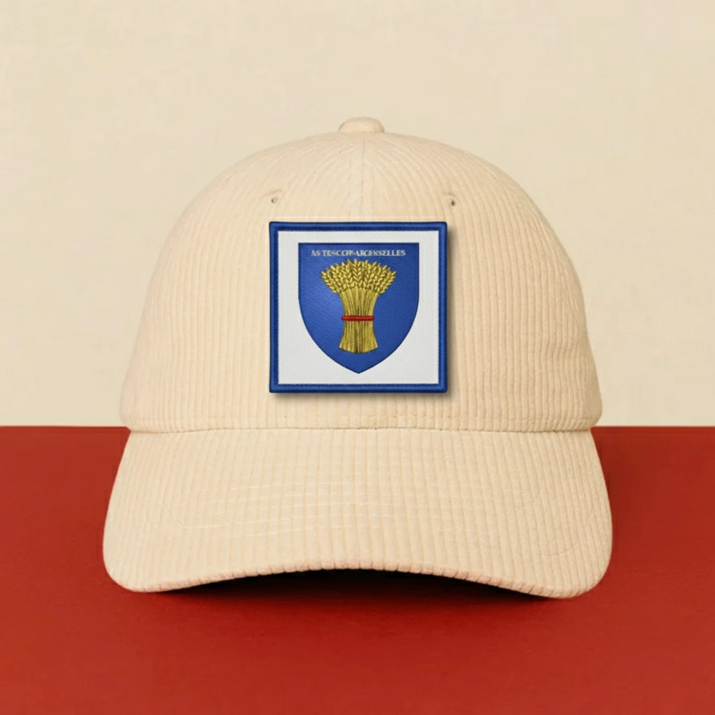Patch A. S. PISCOP MOISSELLES sur casquette à velcro PPATCH
