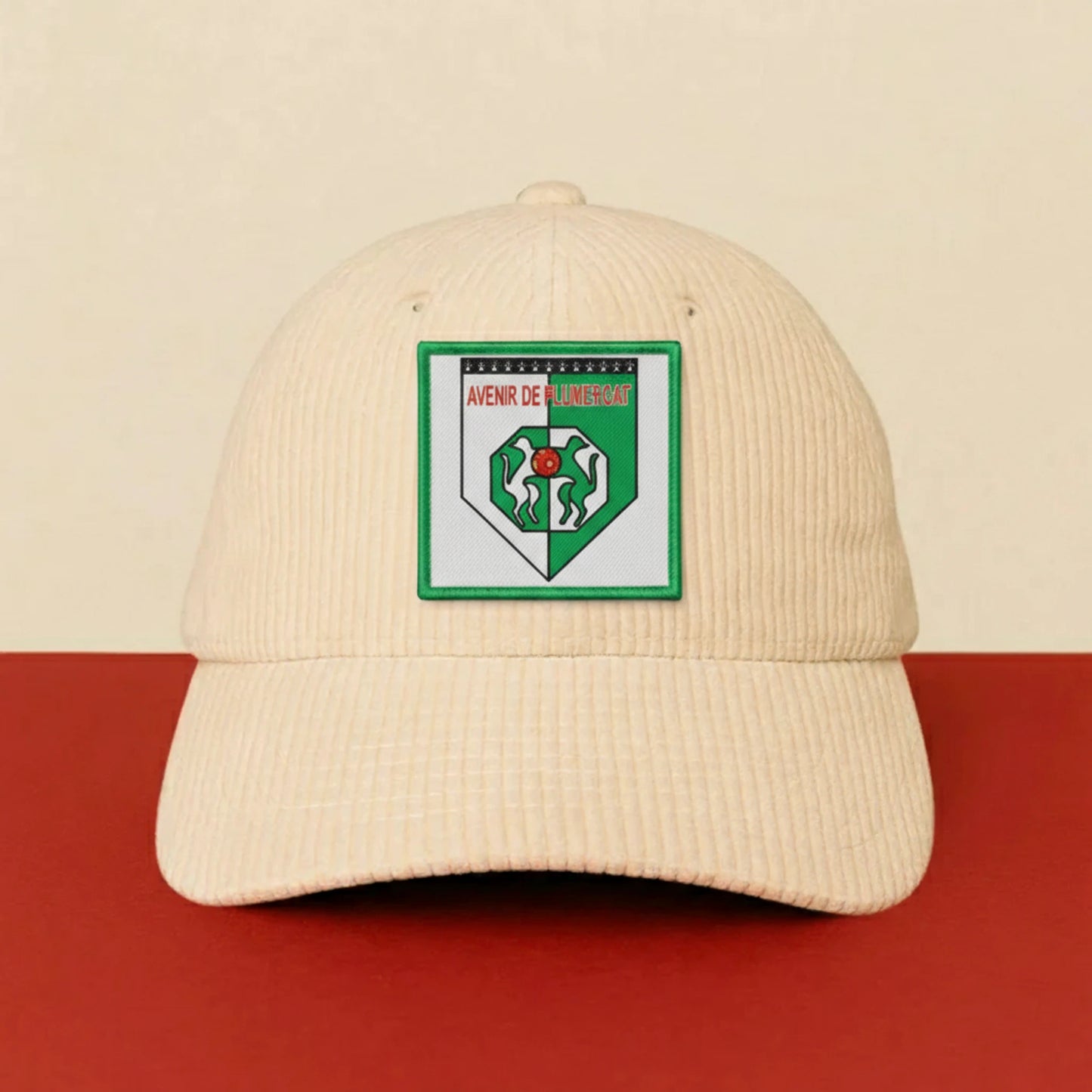 Détail broderie patch AV. DE PLUMERGAT