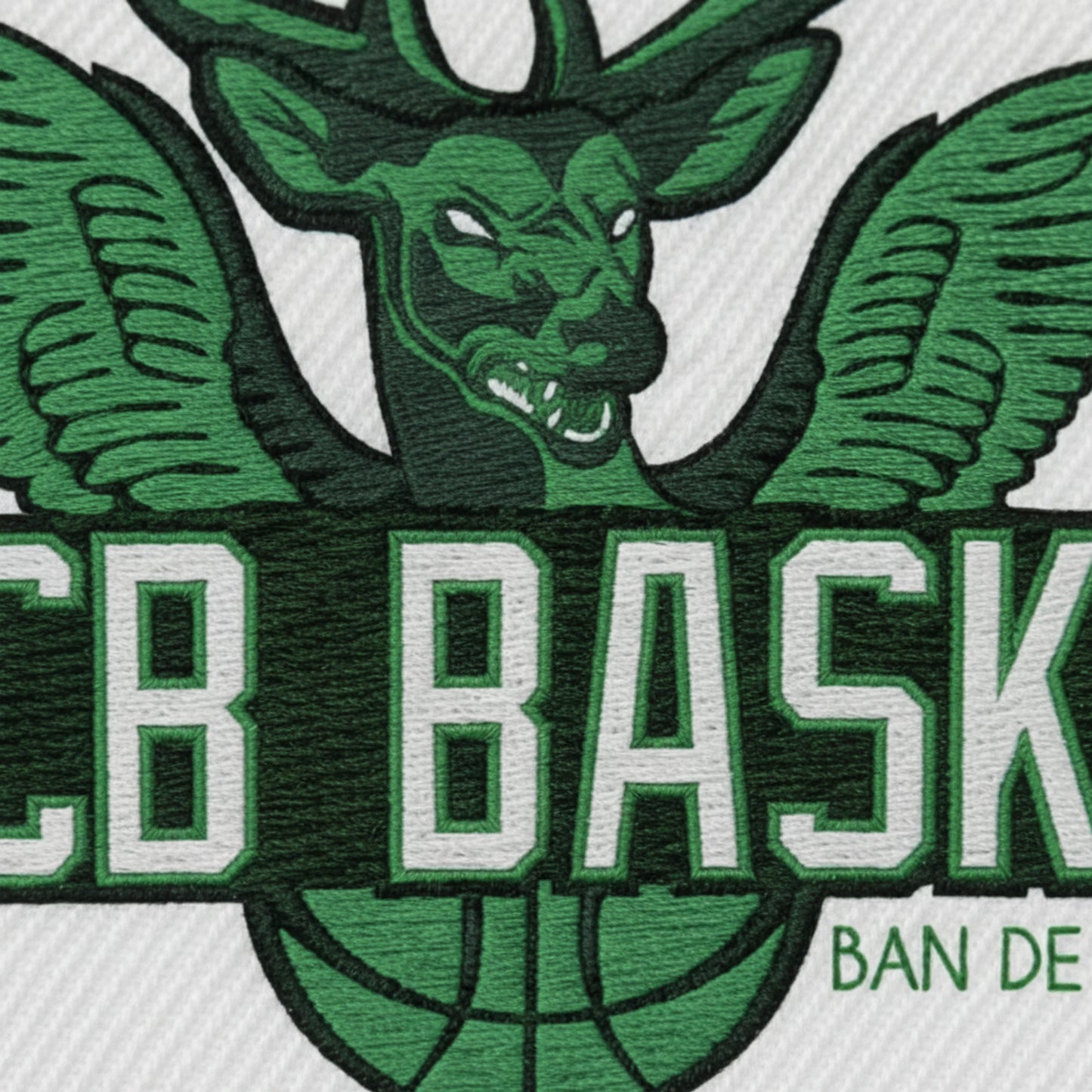 Asc Ban de Laveline - Détail