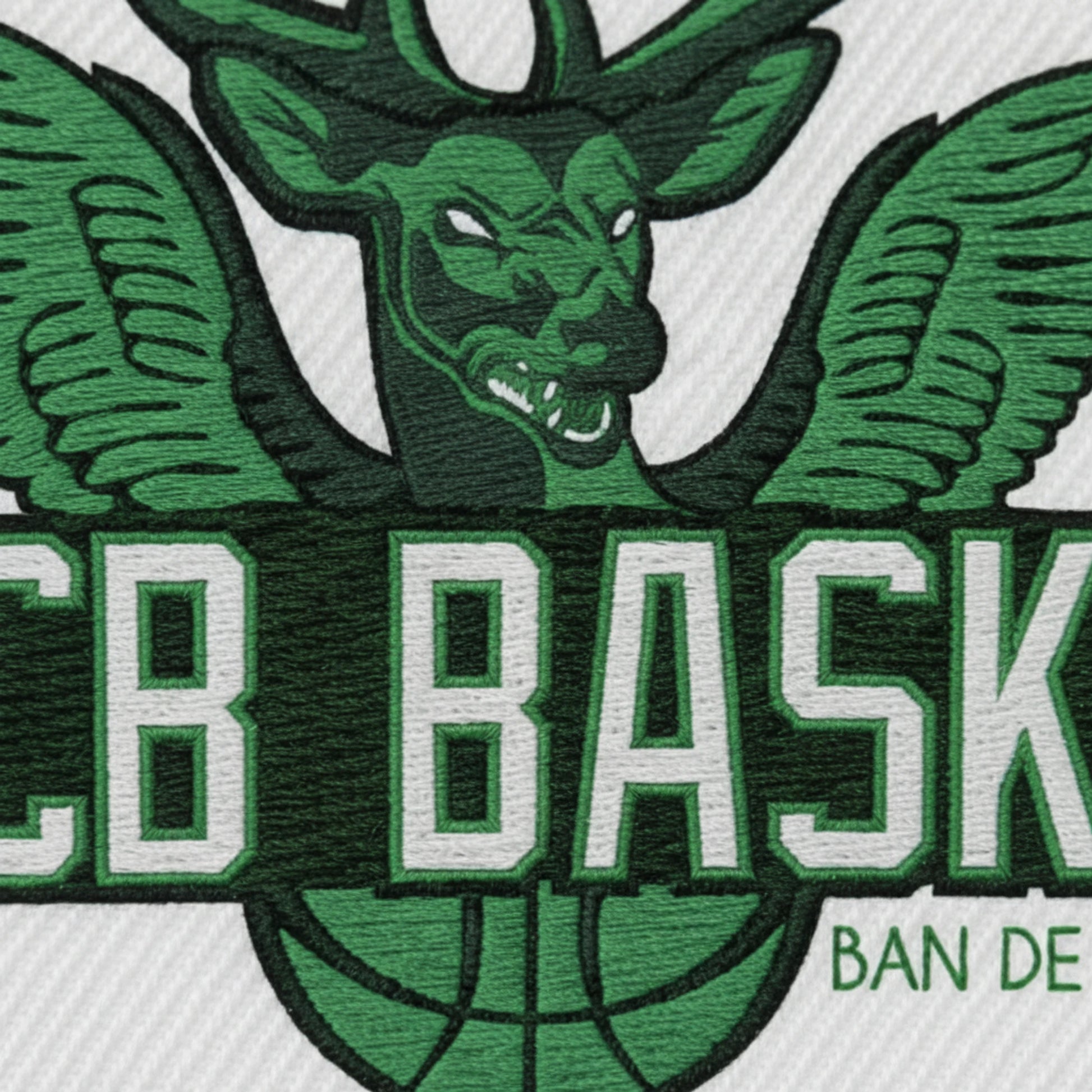 Asc Ban de Laveline - Détail