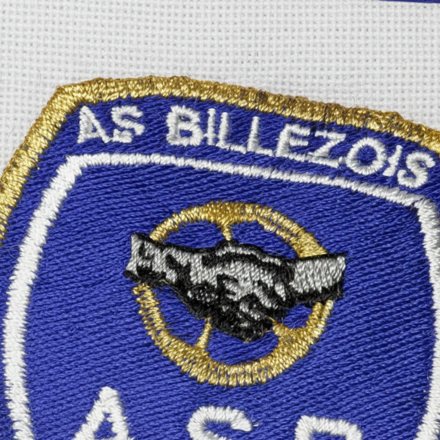 A.S. DE BILLEZOIS - Détail