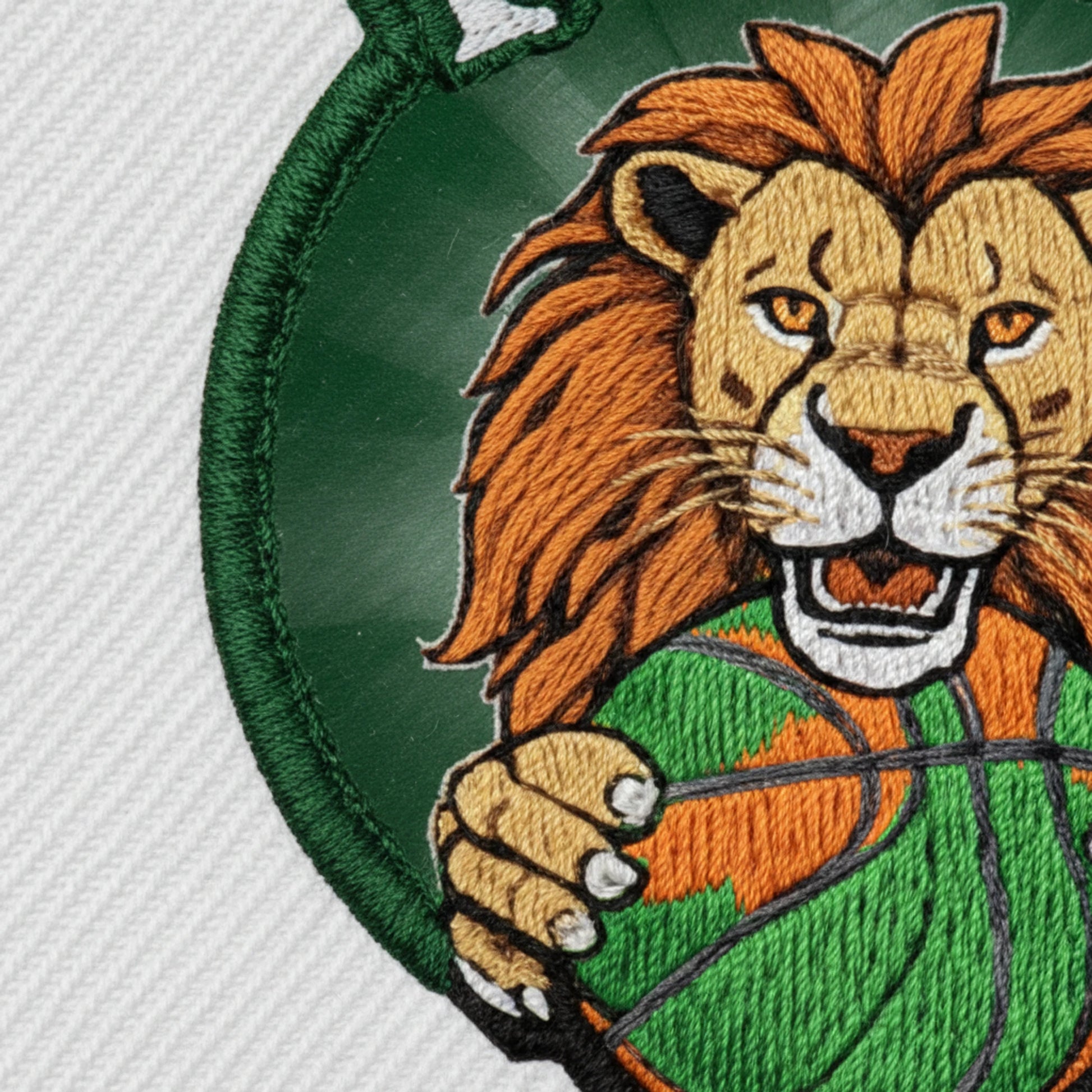 Falleron Touvois Basket Club - Détail