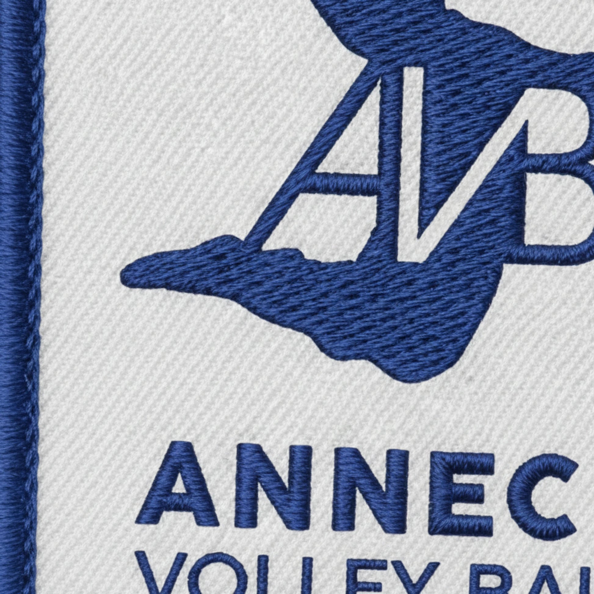 ANNECY VOLLEY-BALL - Collection