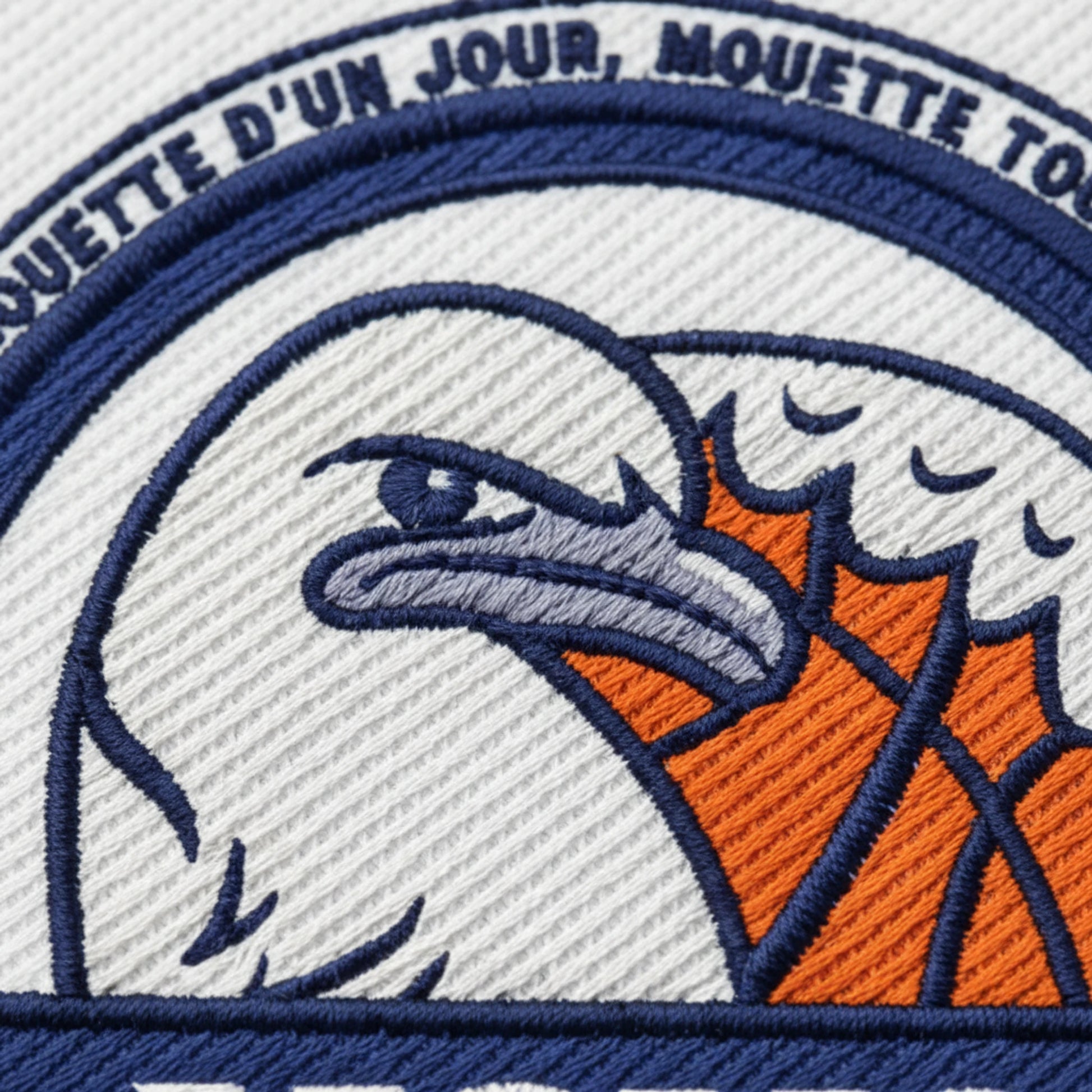 St Mars D Outille les Mouettes - Détail