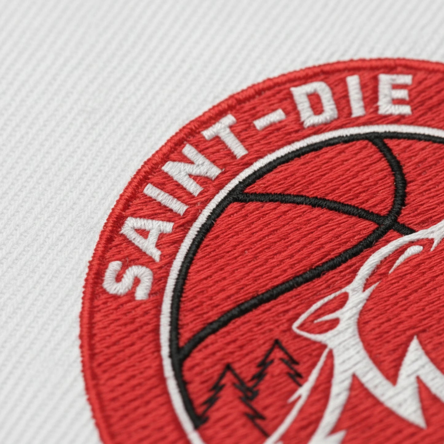 Saint Die Vosges Basket - Détail