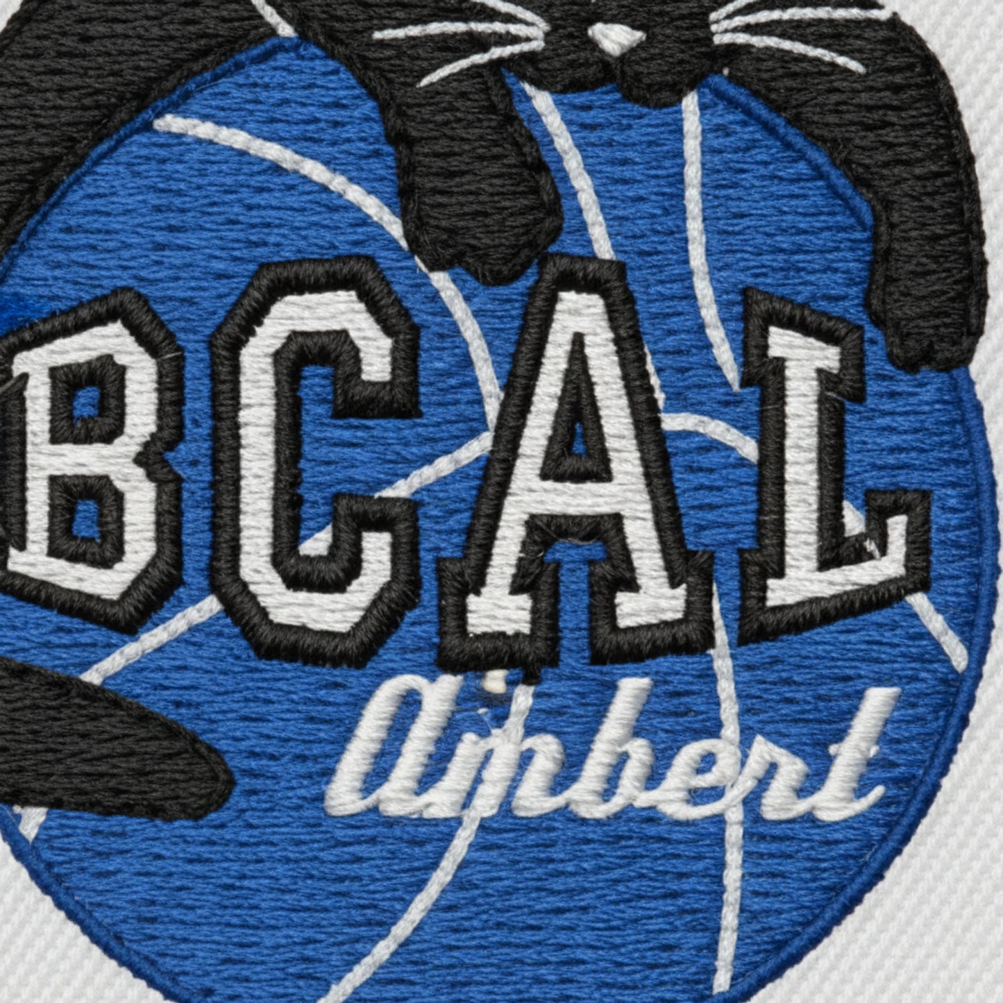 BC Ambert Livradois - Collection