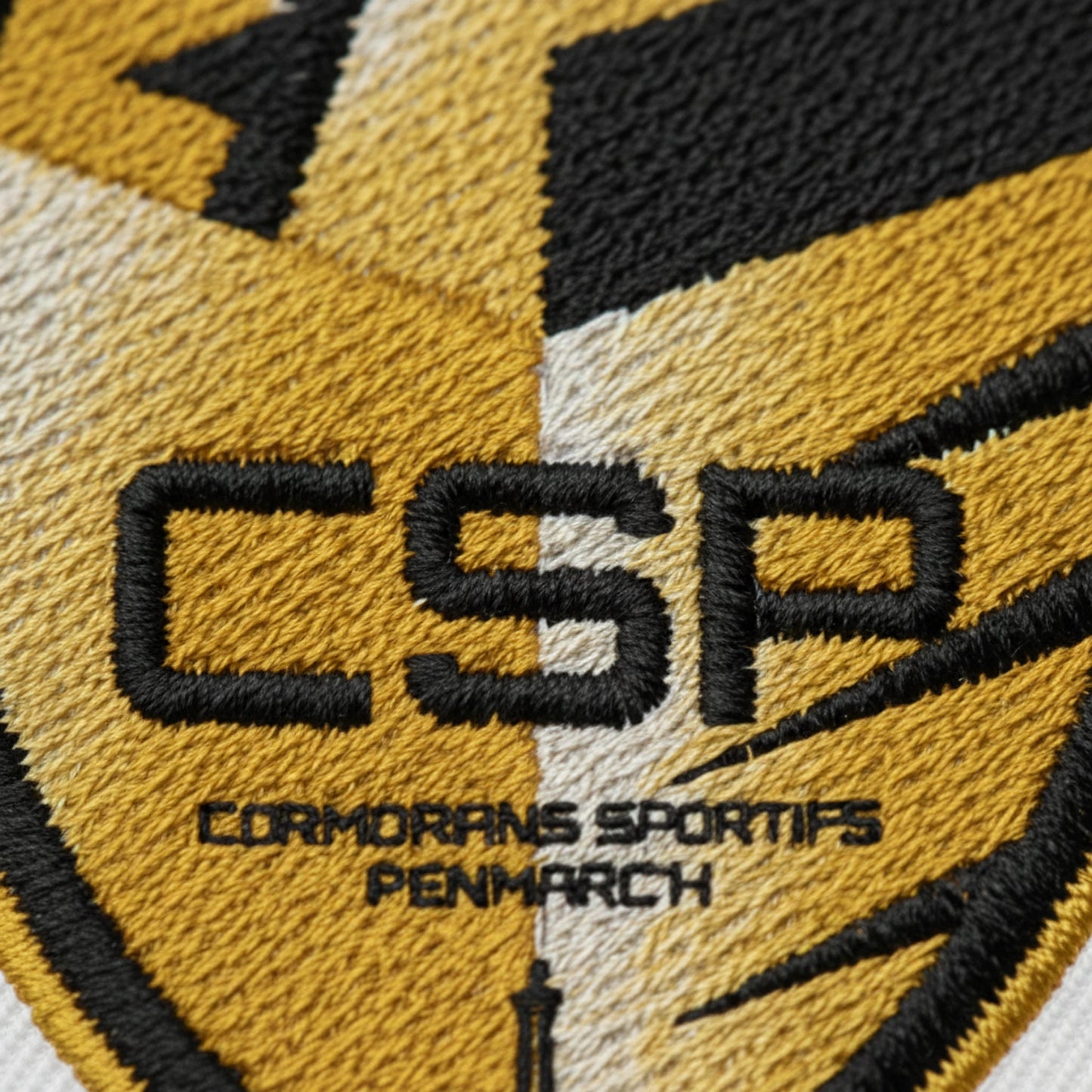 Cormorans Sp Penmarch - Détail