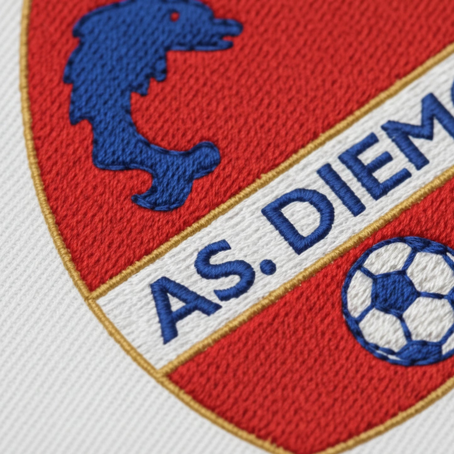 Détail broderie patch AM.S. DE DIEMOZ
