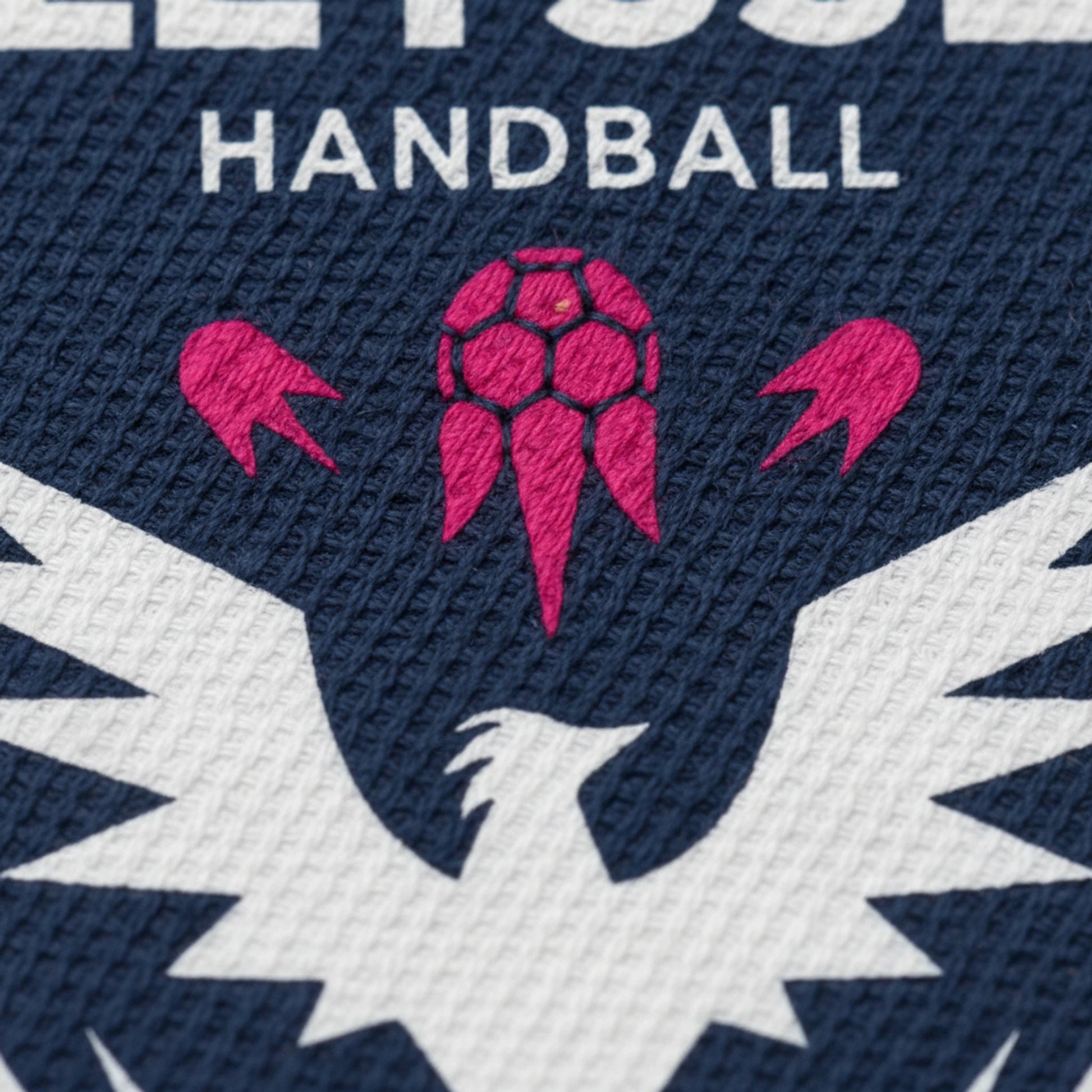 Val de Leysse Handball - Collection