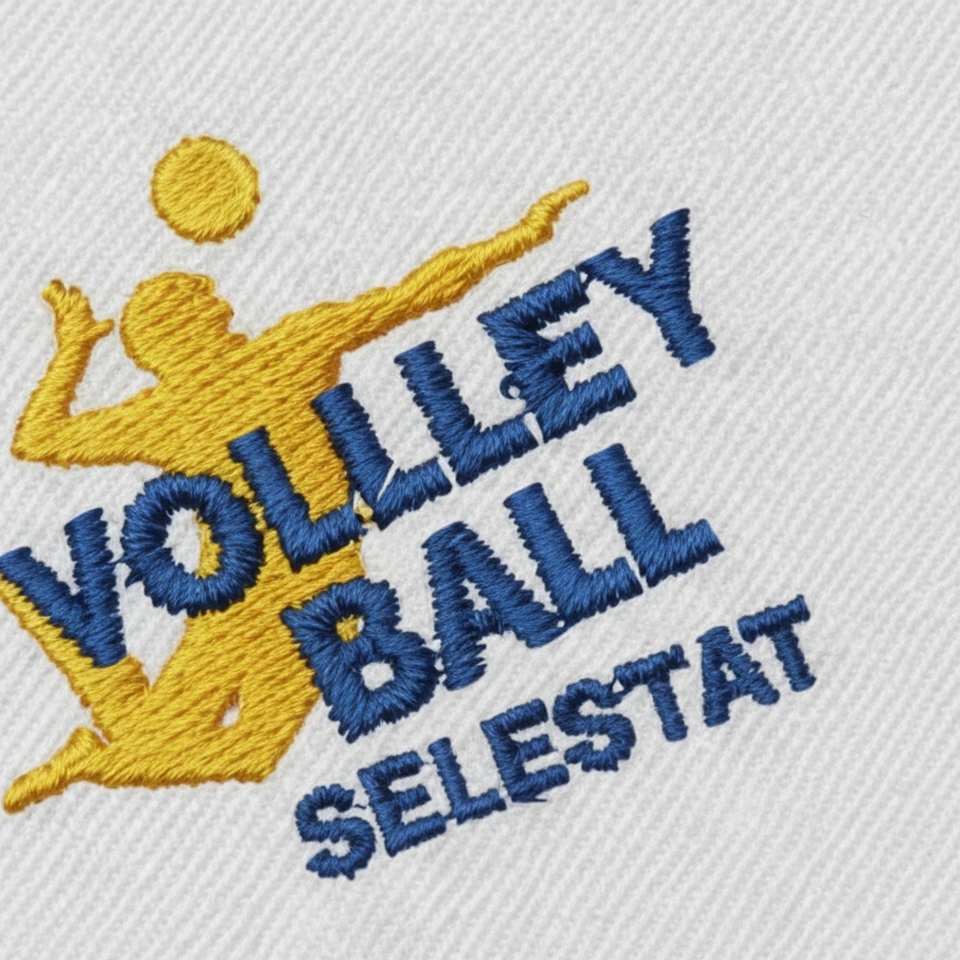 Collection patchs brodés Volley