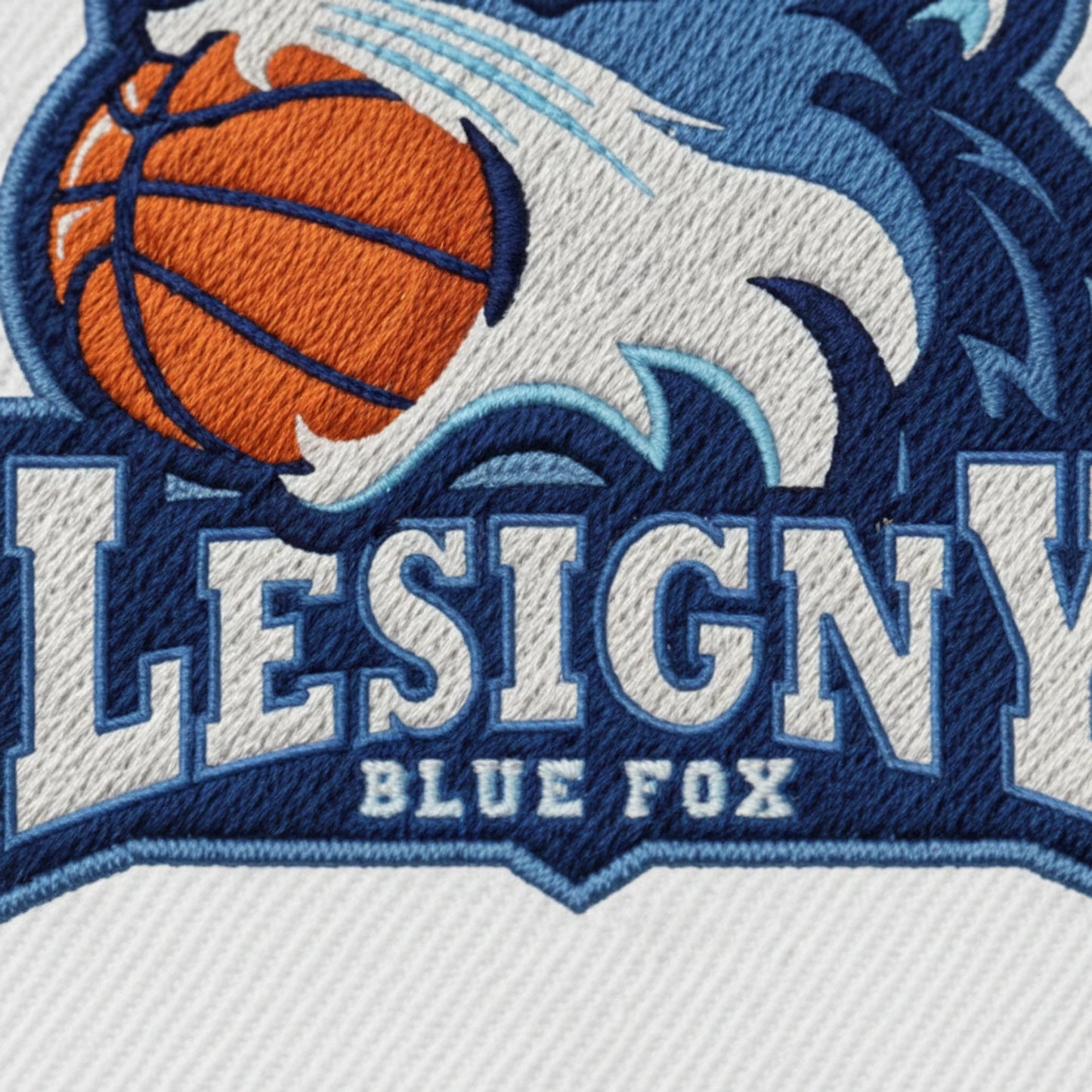 USC Lésigny Basket - Détail