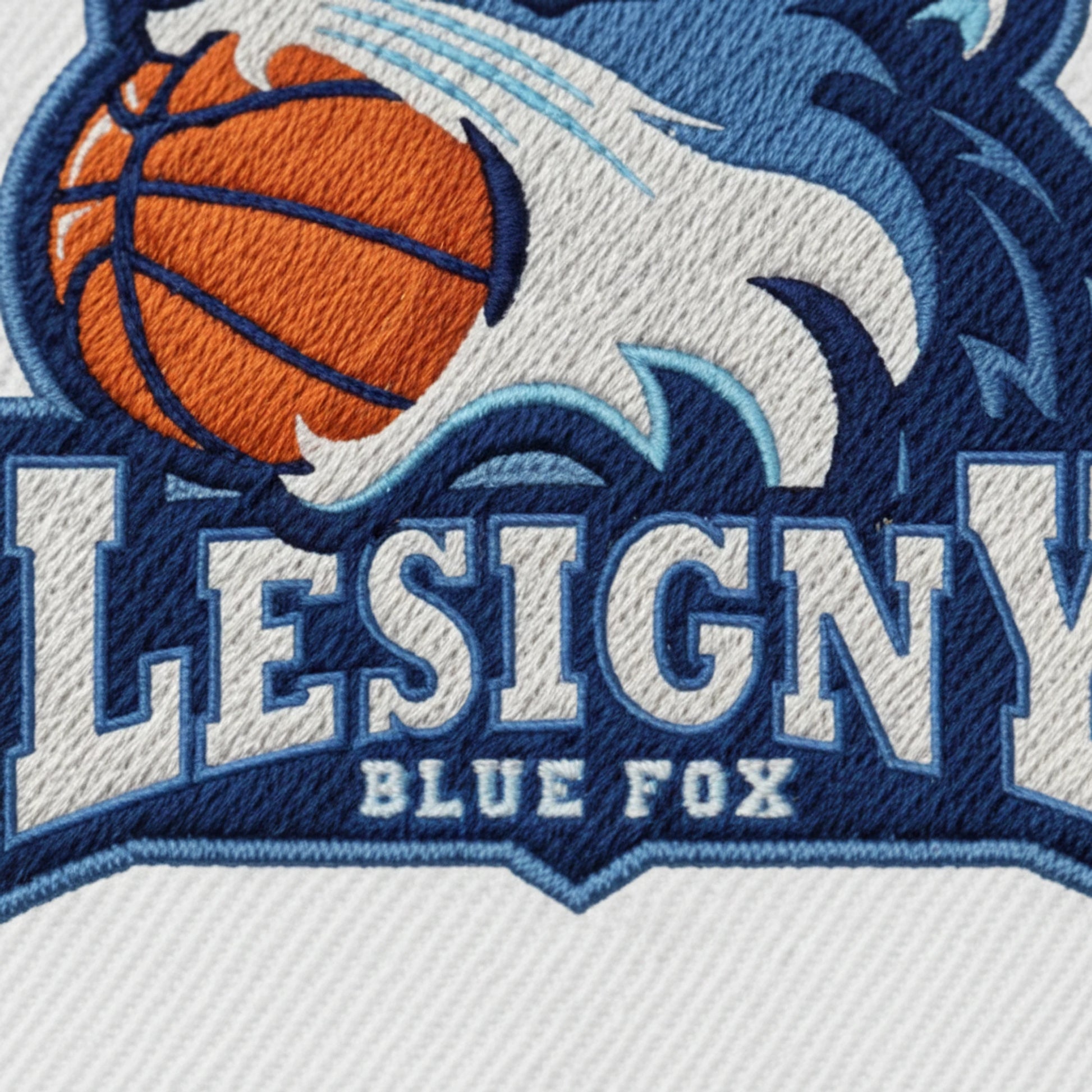 USC Lésigny Basket - Détail