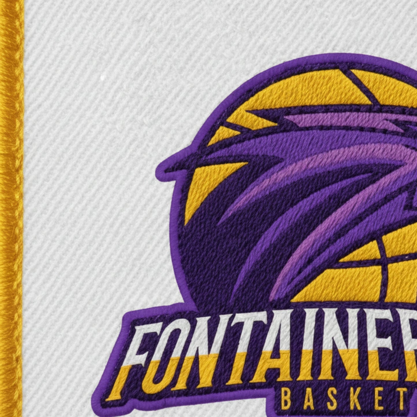 CS Fontainebleau - Détail