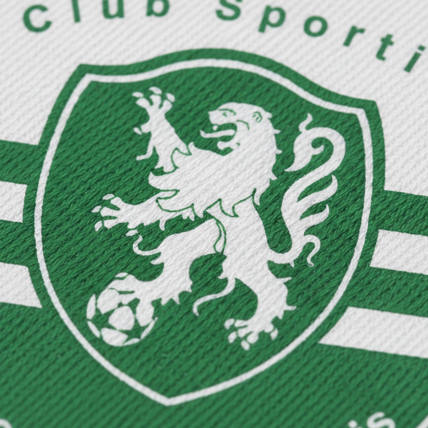 CS Orbecquois Vesperois - Détail