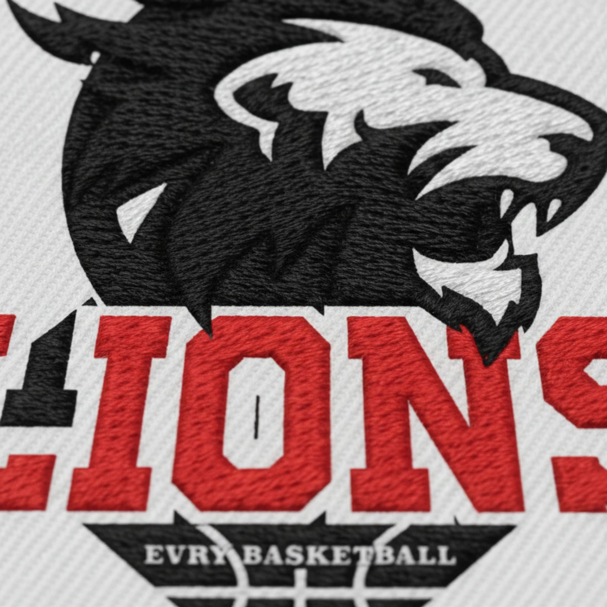 Lions Évry Basketball - Détail