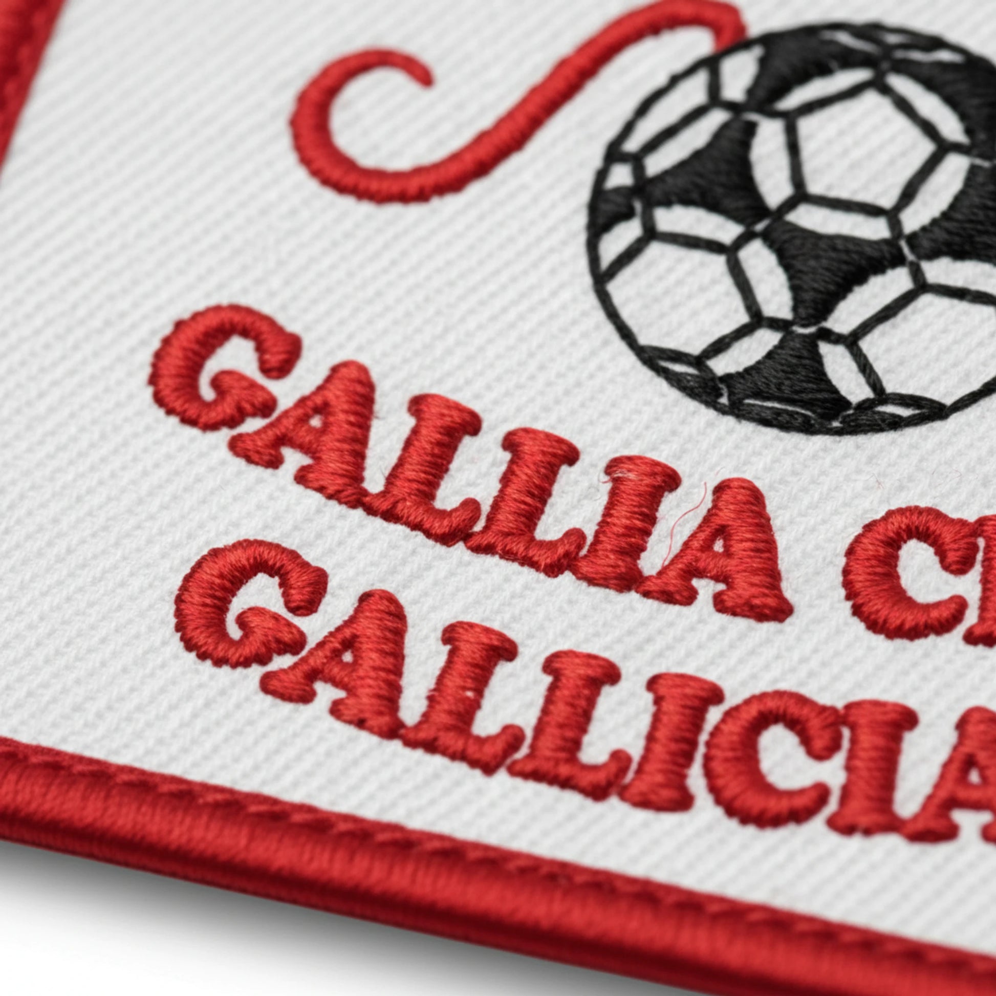 Détail broderie patch Gallia C De Gallician