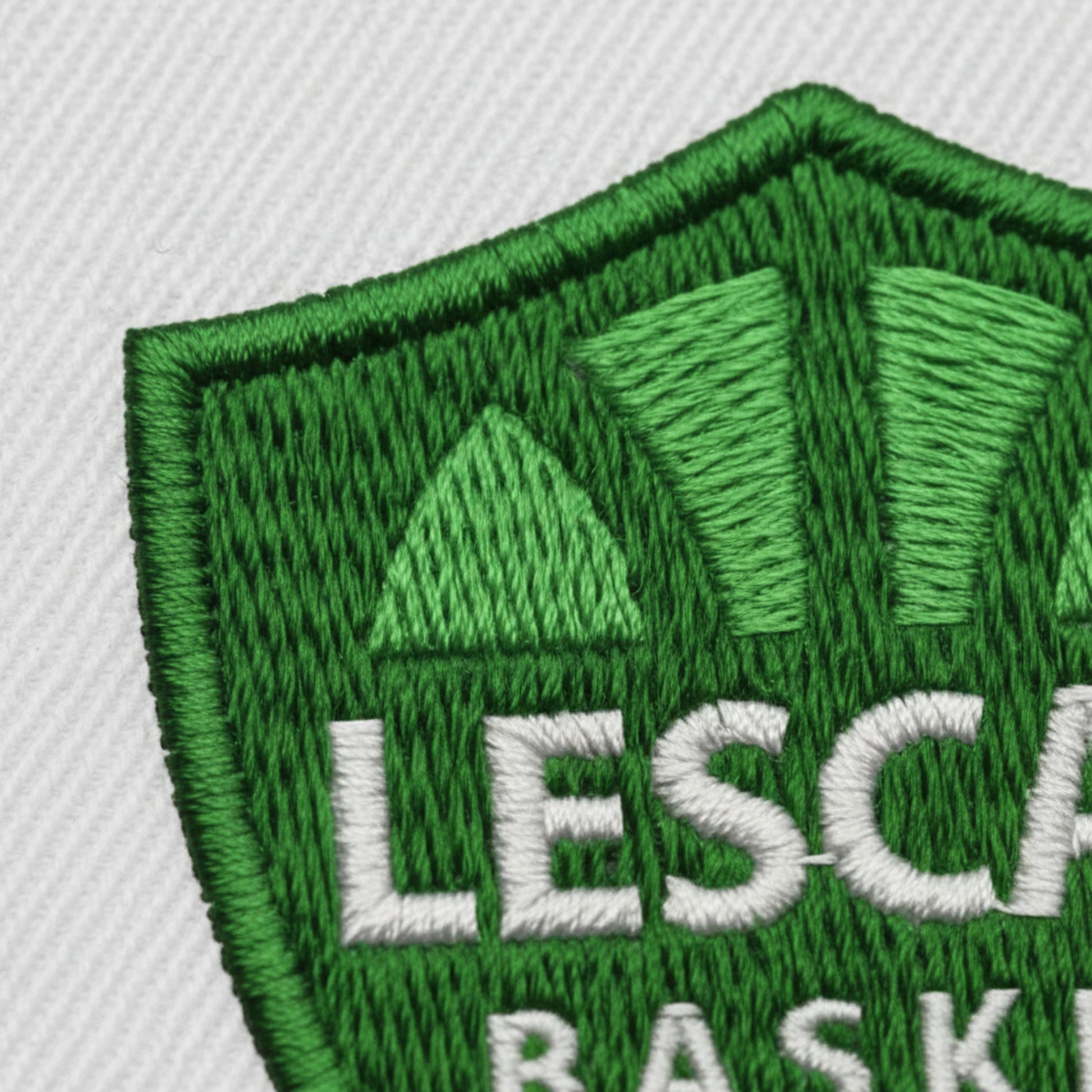 Lescar Basket - Détail