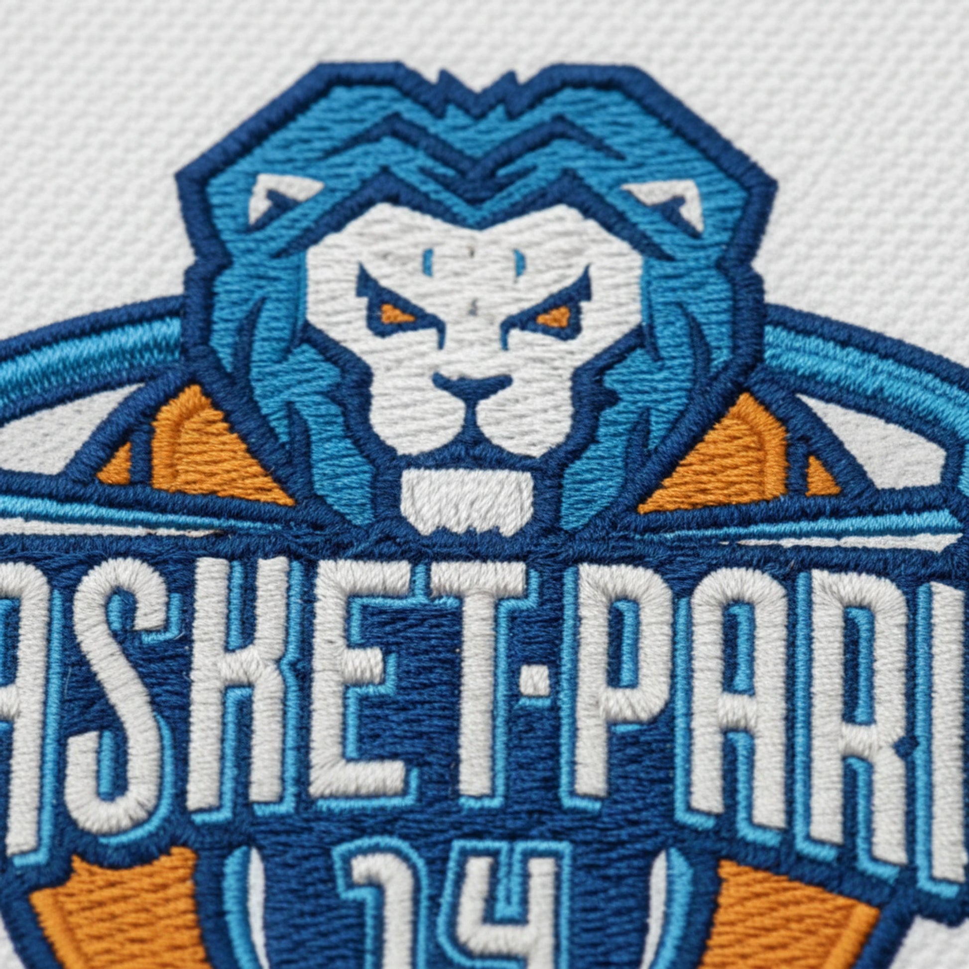 Basket Paris 14 - Détail
