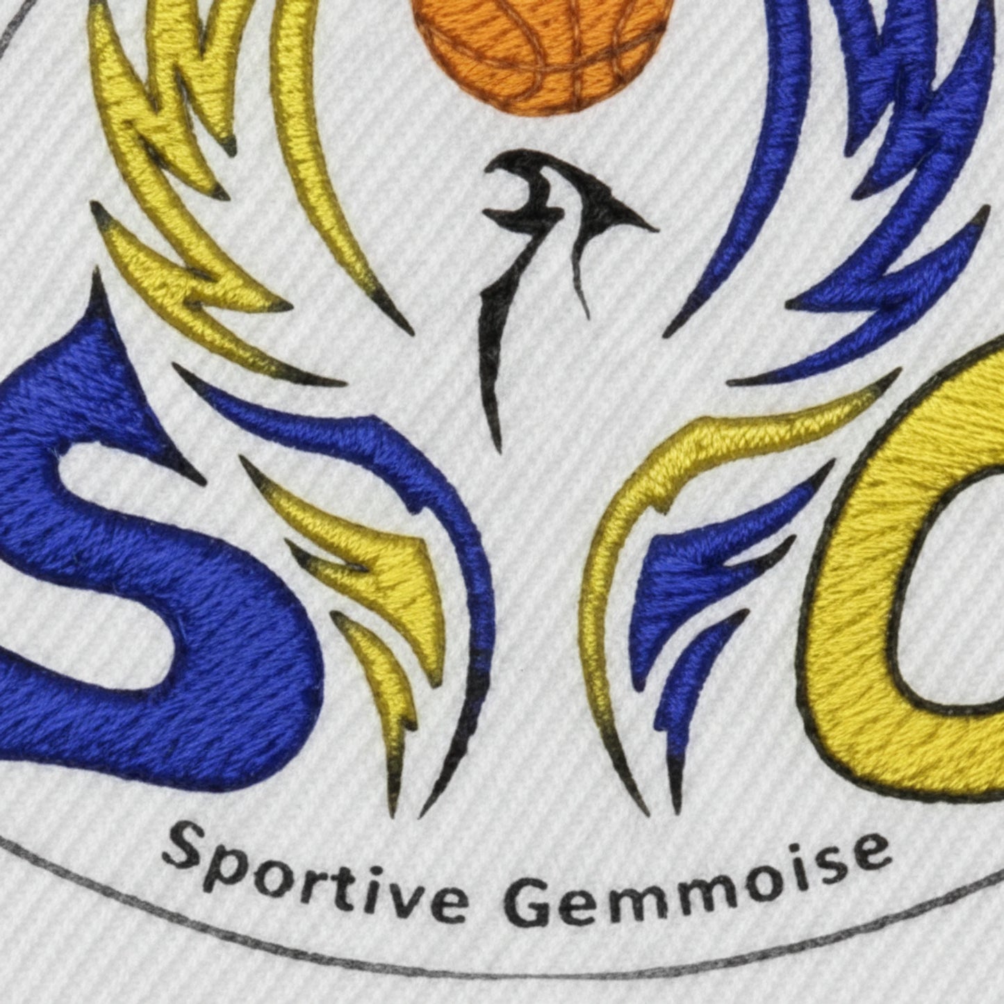 Sainte Gemme la Plaine - Détail