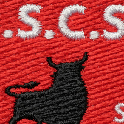 Détail broderie patch A.S. COUFFY / SEIGY