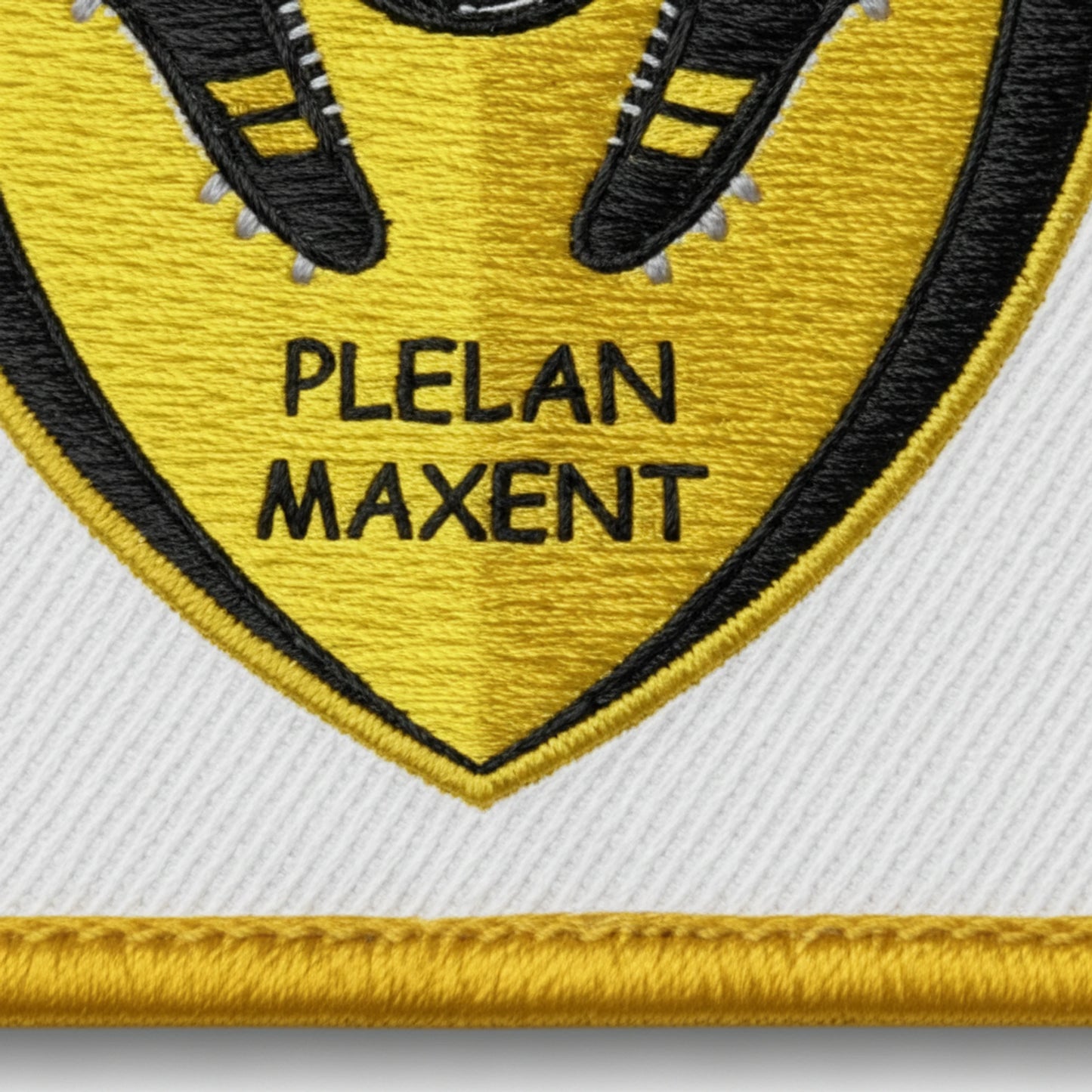 FC Plelan Maxent - Détail