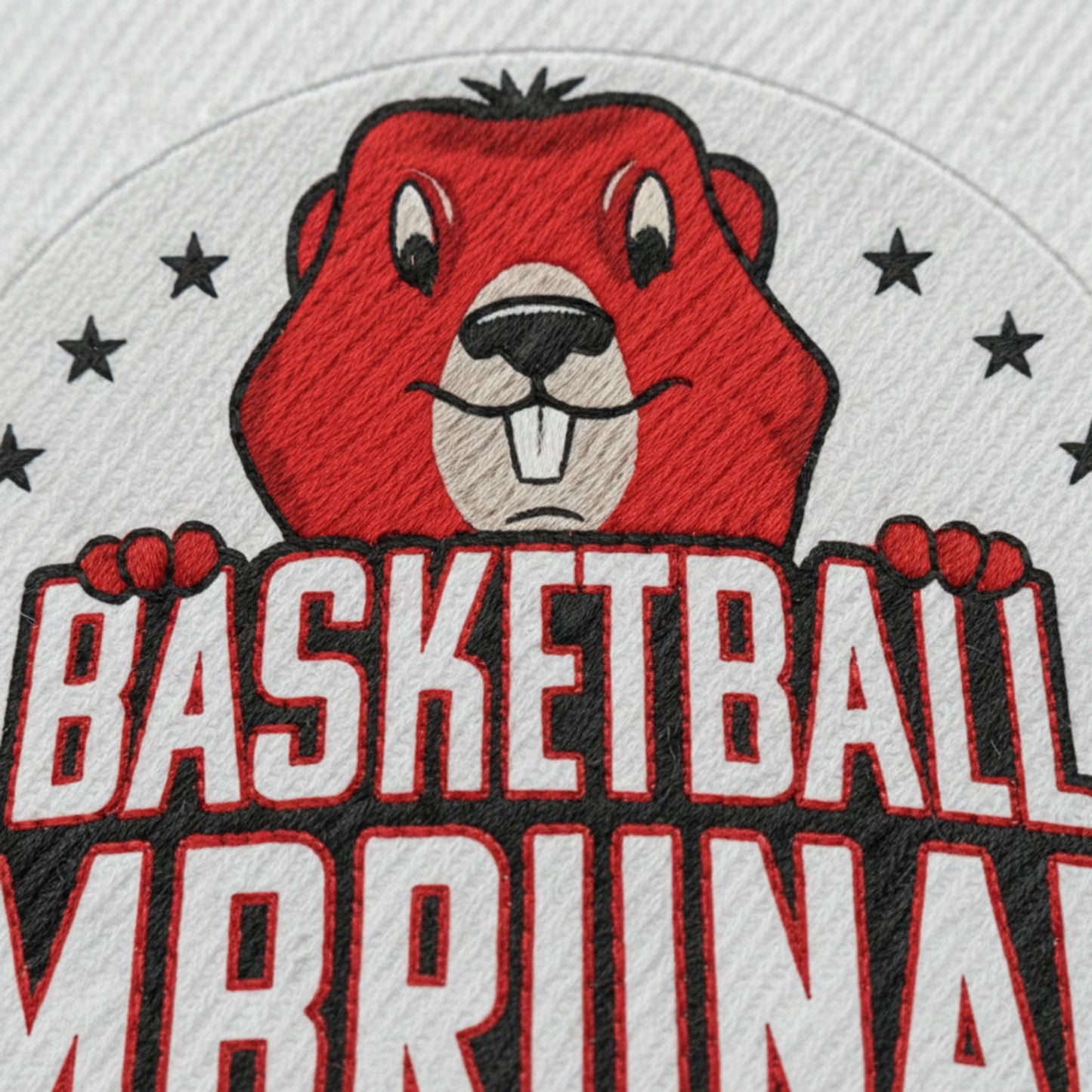 Basketball Embrunais - Détail