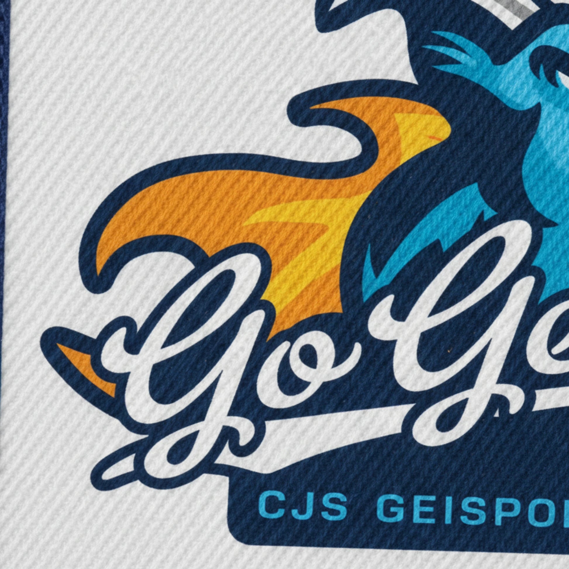 Geispolsheim CJS - Détail