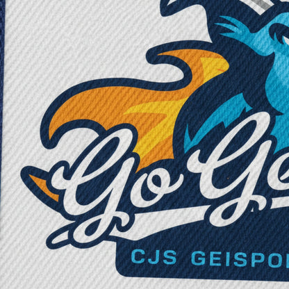 Geispolsheim CJS - Détail
