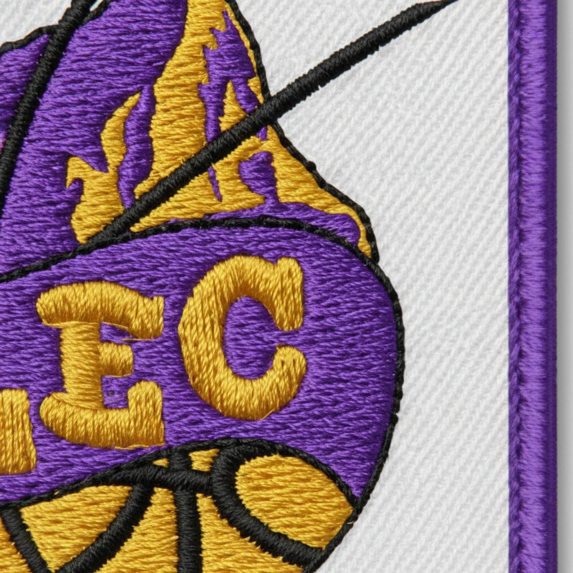 Lannemezan Basket Club - Détail