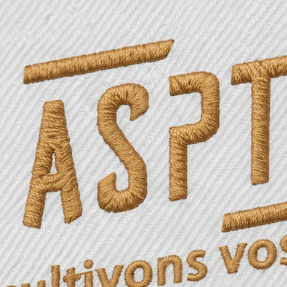 Asptt Annecy - Détail