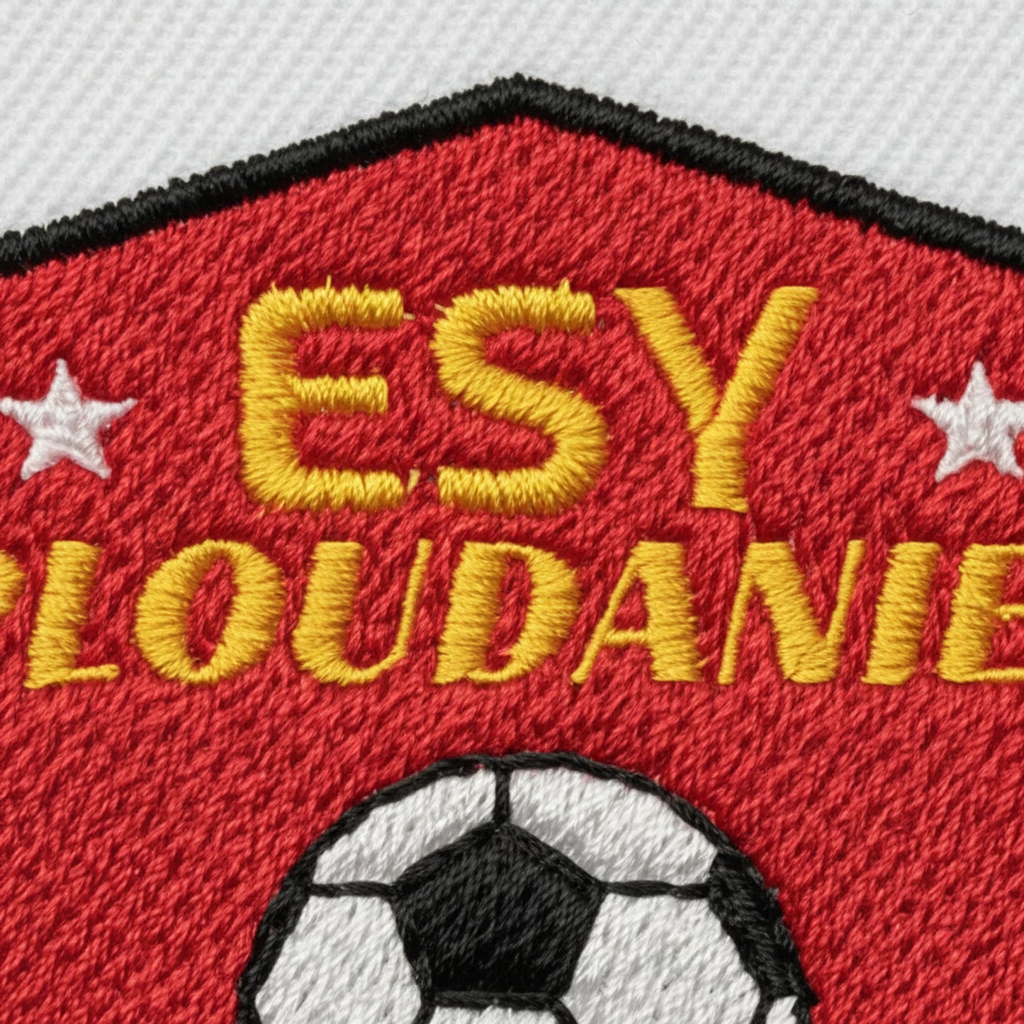 Et. St Yves Ploudaniel - Détail