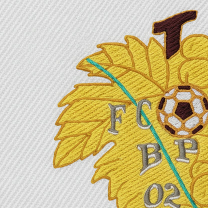 Collection patchs brodés Football