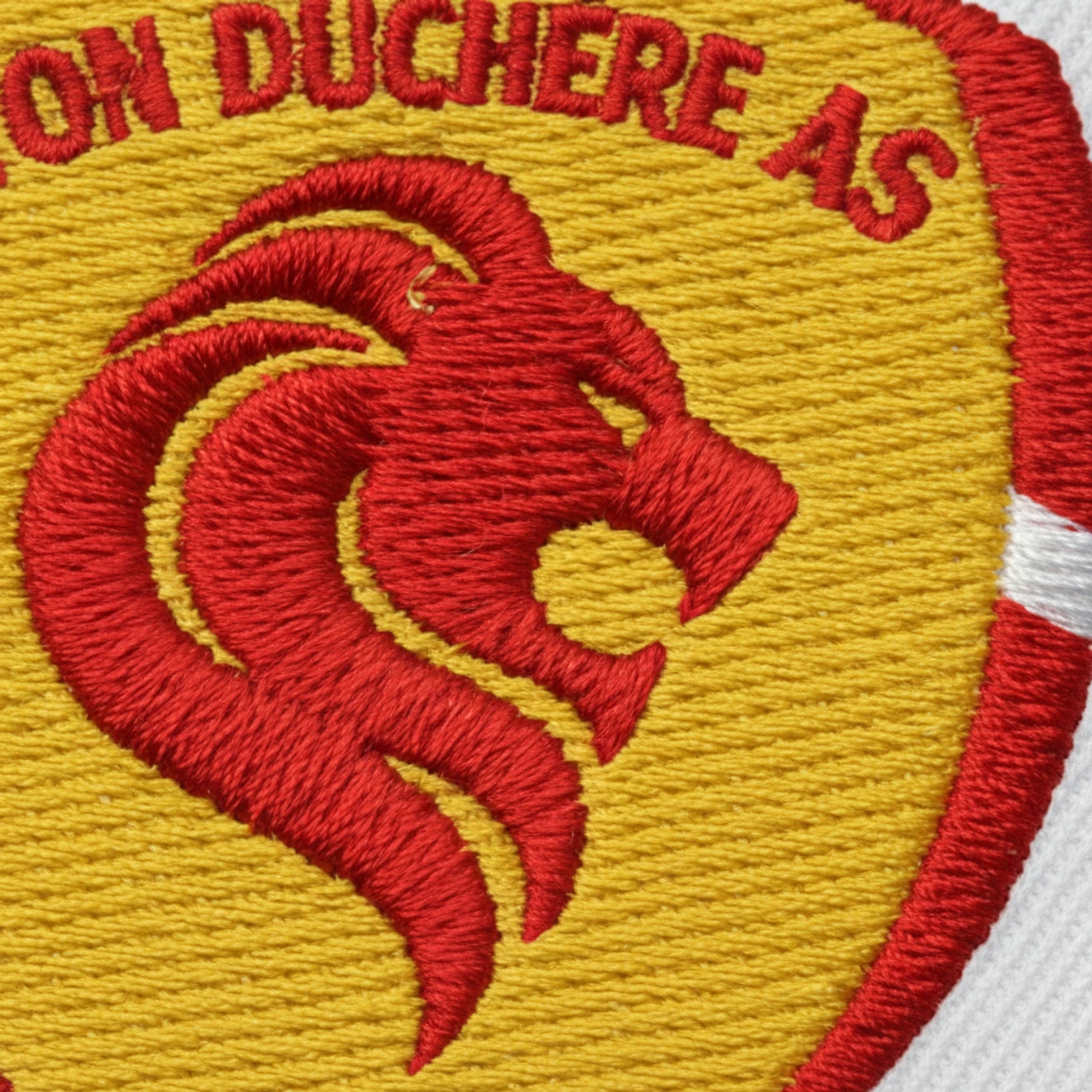 Détail broderie patch As Lyon Duchere