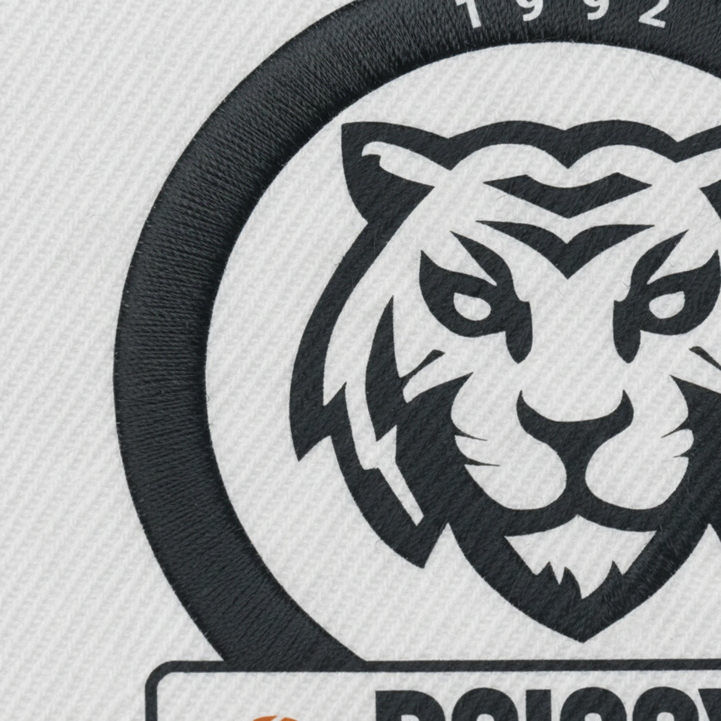 Boissy Sous Saint Yon Basket - Détail