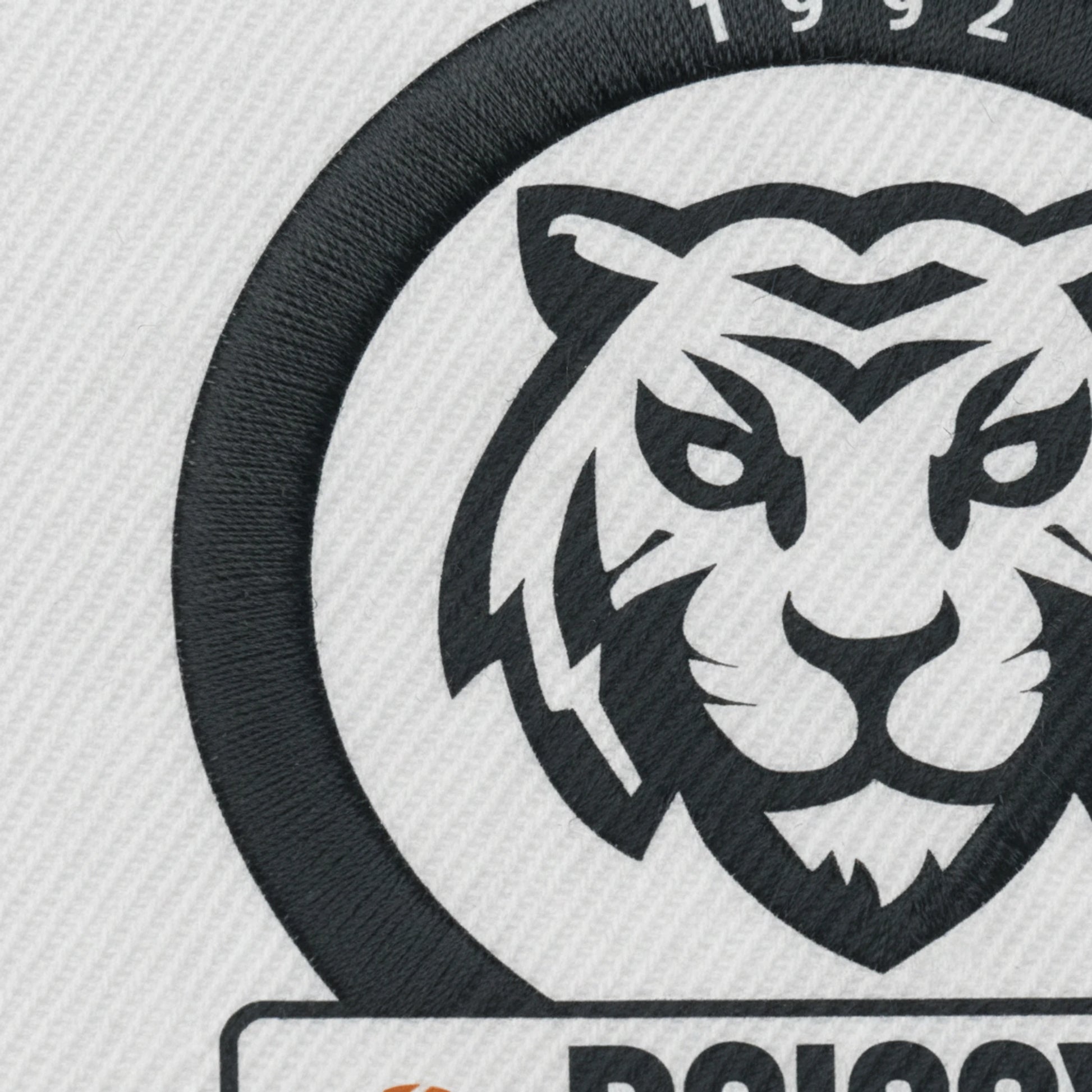 Boissy Sous Saint Yon Basket - Détail