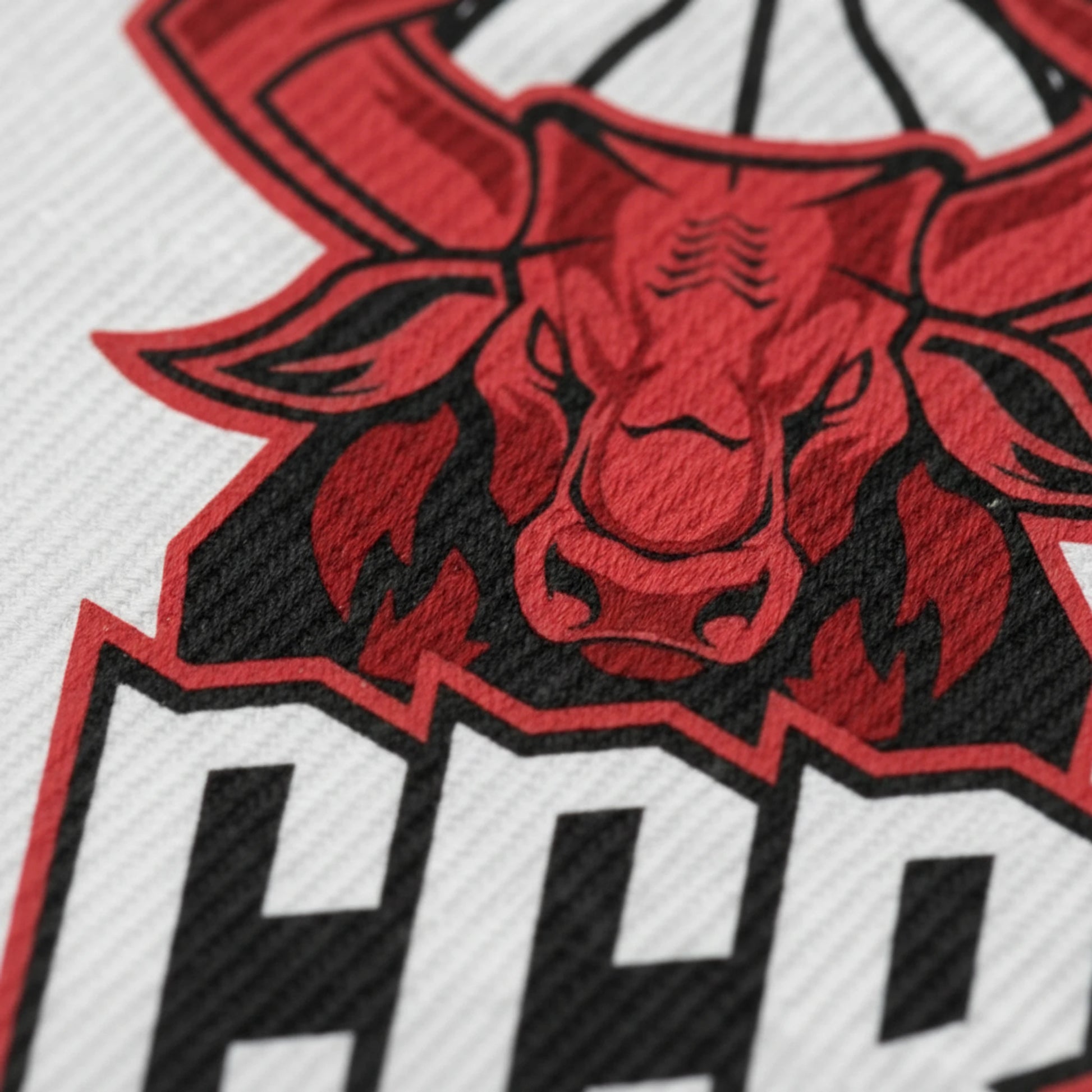 Chatou Croissy Basket - Détail