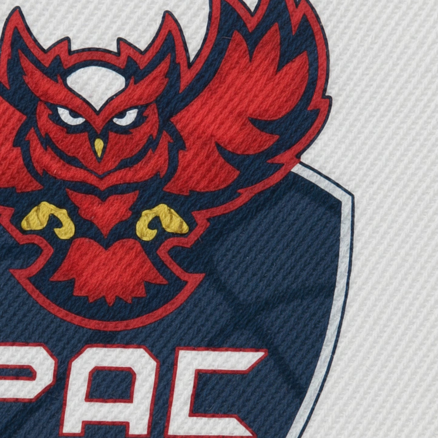 Pals Athletic Club Guise - Détail