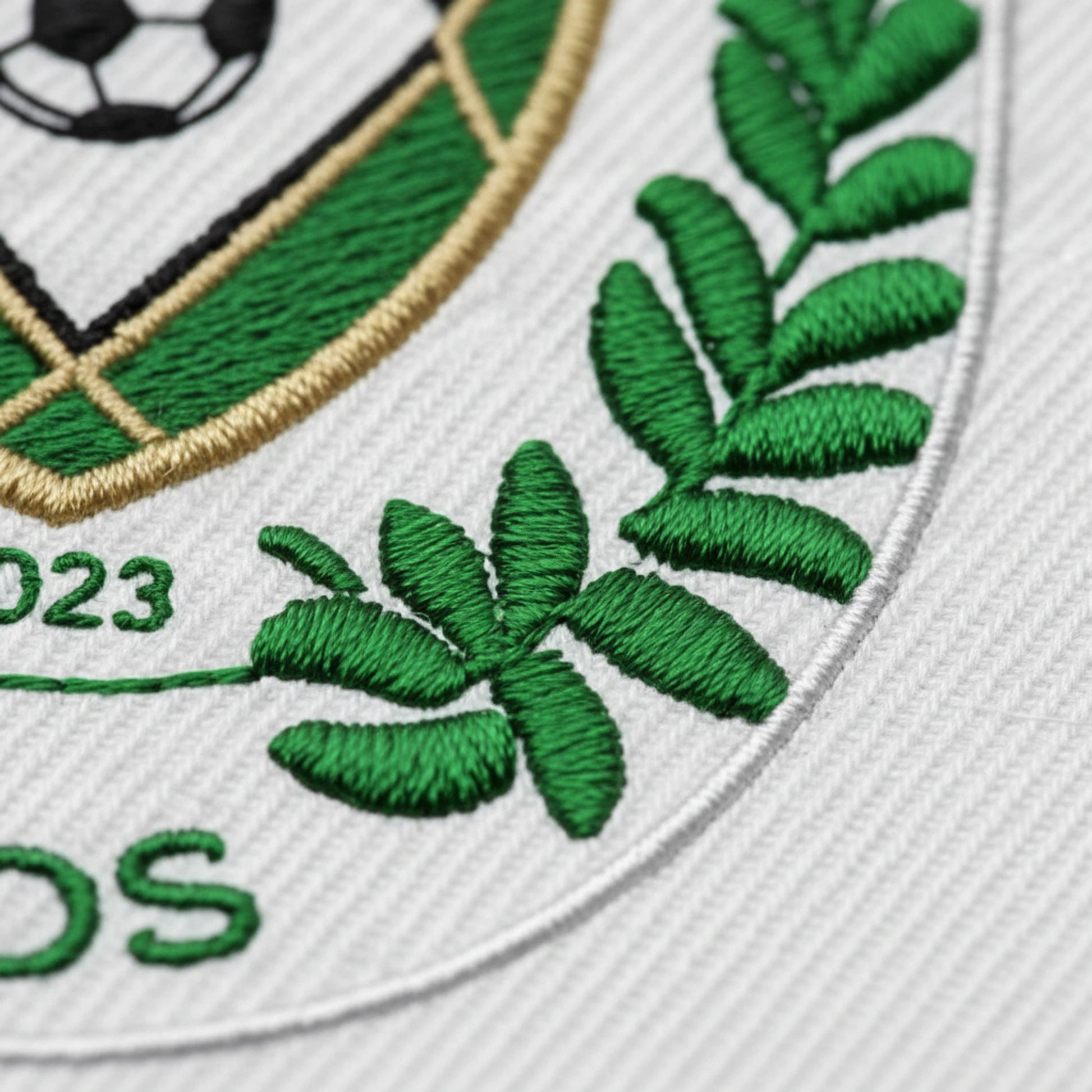 FOOTBALL OLYMPIQUE SEYSSUELLOIS - Détail