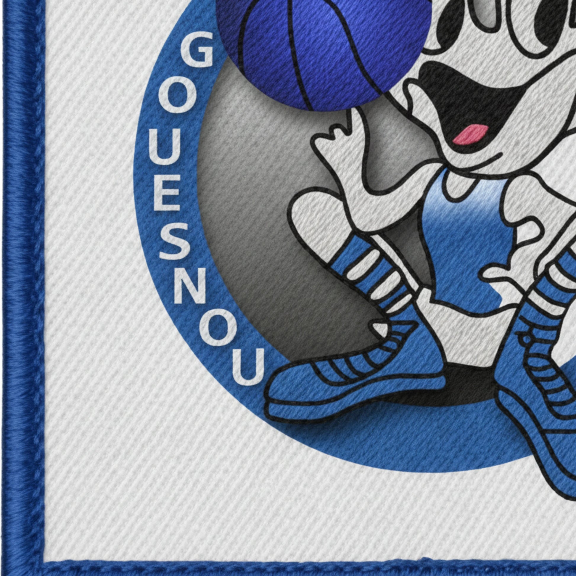 Gouesnou Basket - Détail