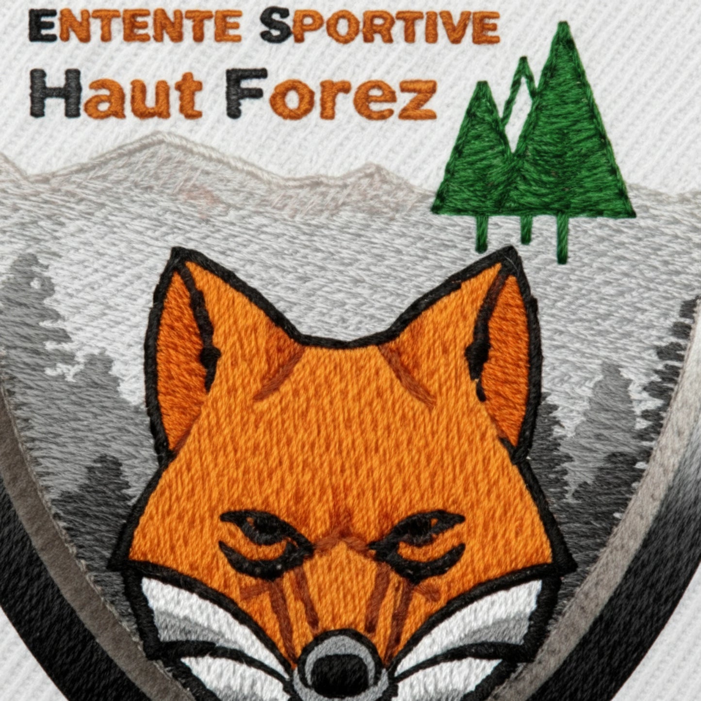 ENT.S. HAUT FOREZ - Collection