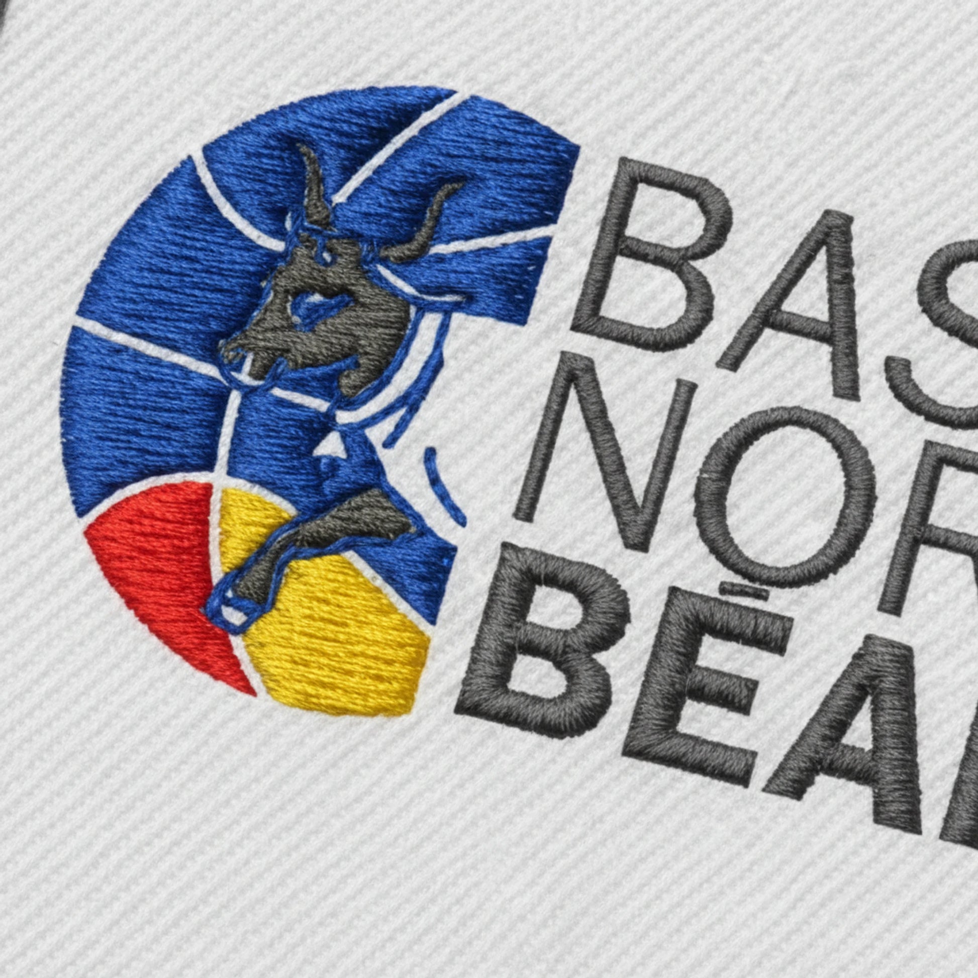 Basket Nord Bearn - Détail
