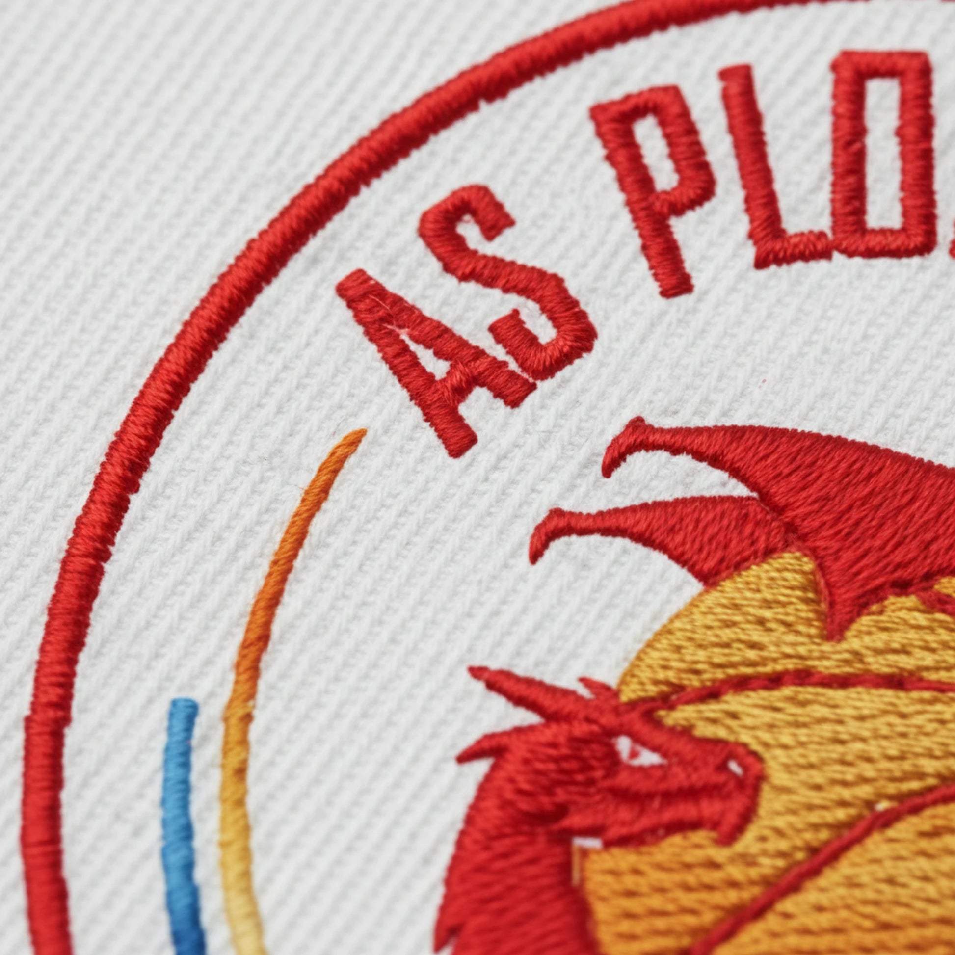 Association Sportive Plomelin Basket - Détail