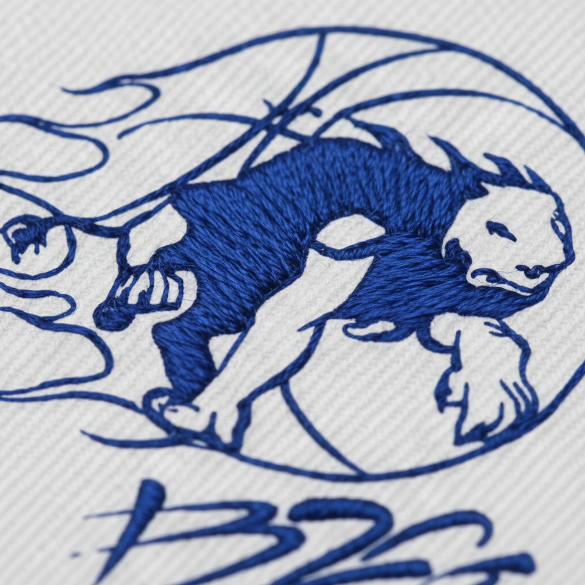 Basket Goncelin Gresivaudan - Détail